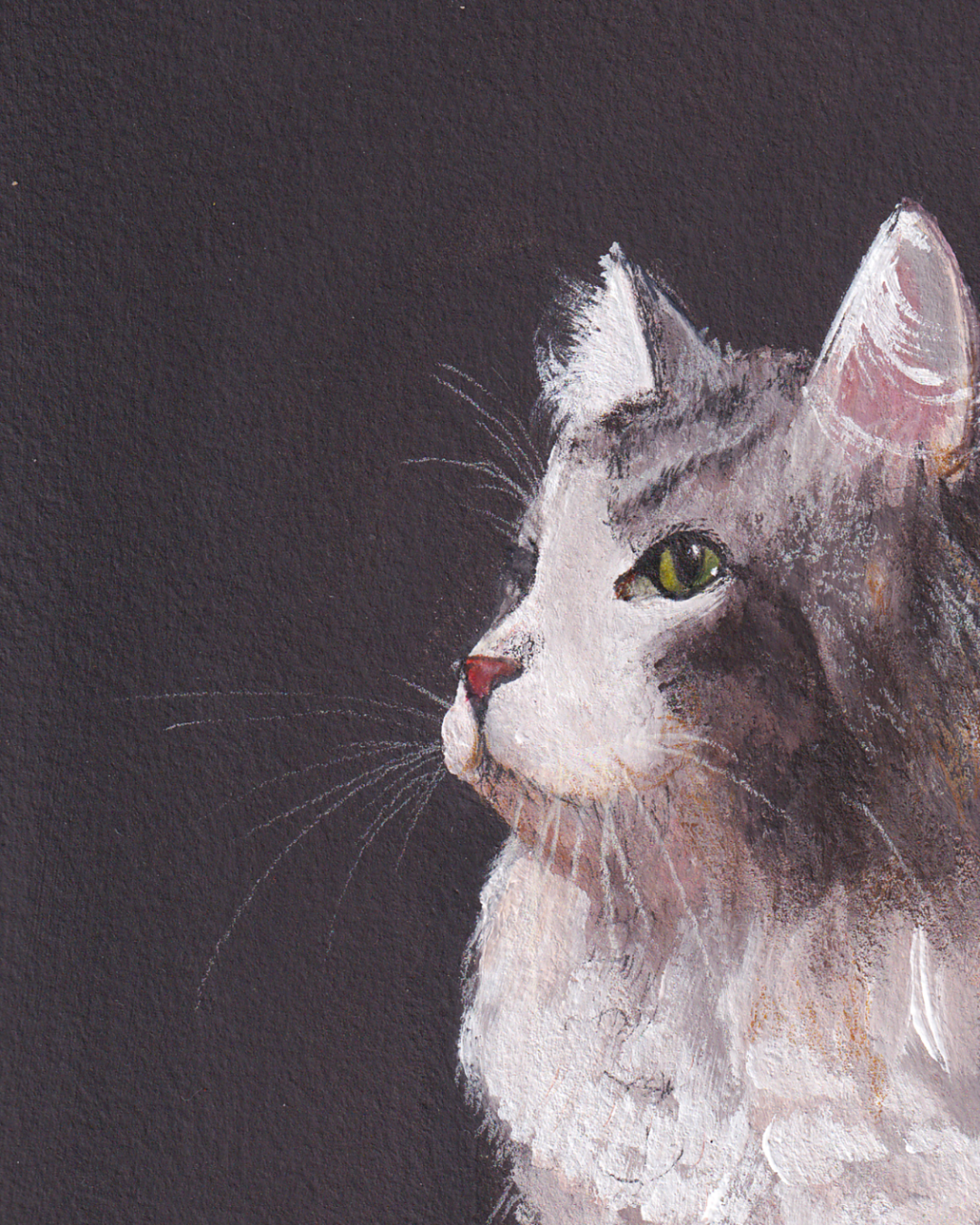 Chat majestueux