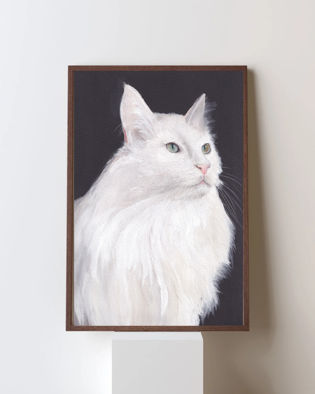 Chat blanc angora poils longs