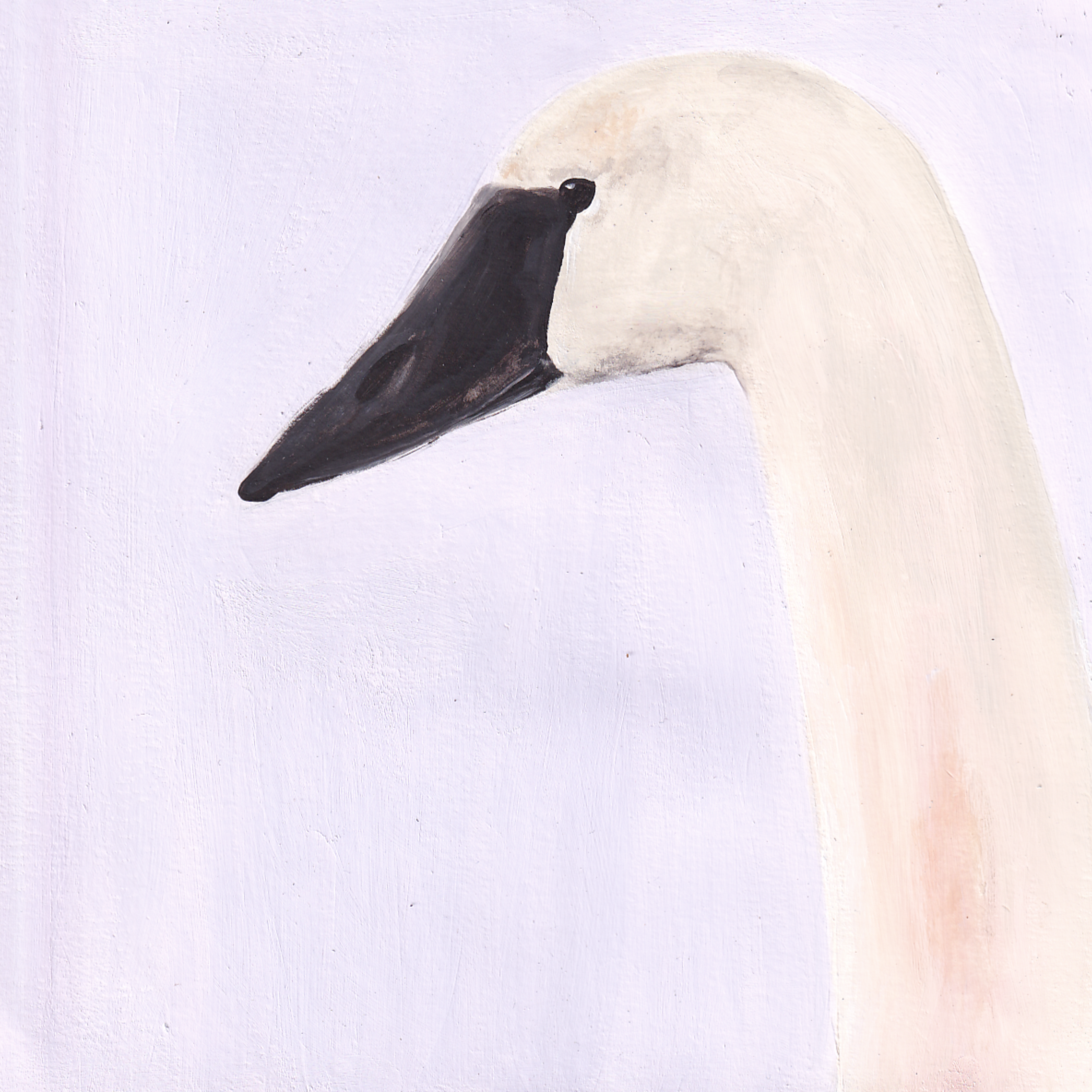 Le cygne III