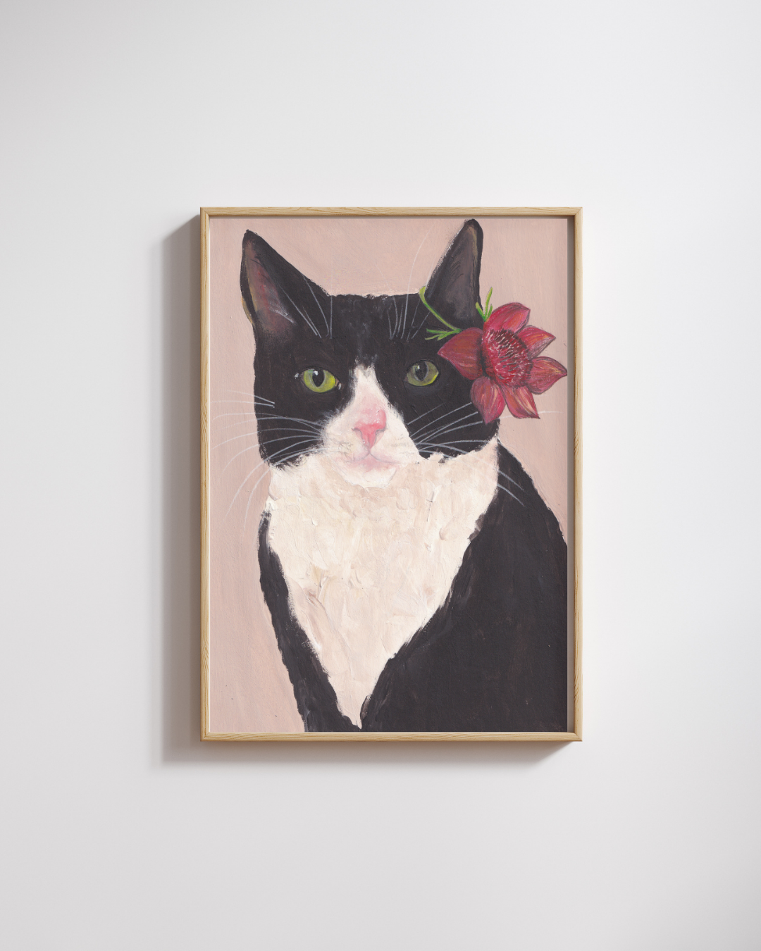 Chat bicolore et sa fleur des îles