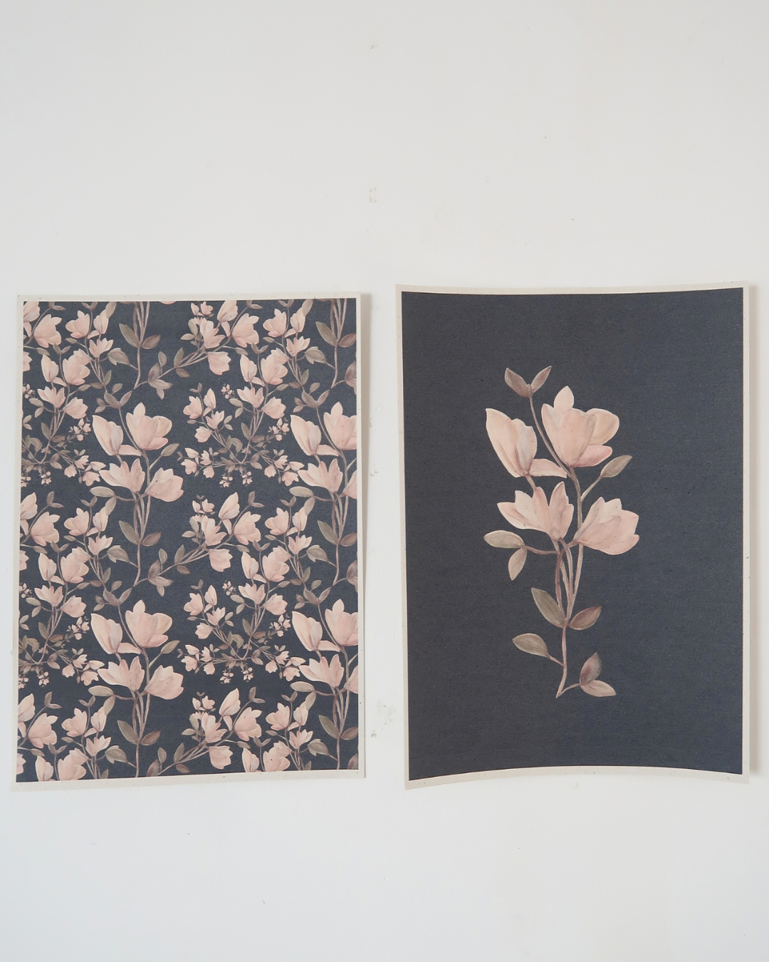 Des fleurs à la maison - Les magnolias fond noir
