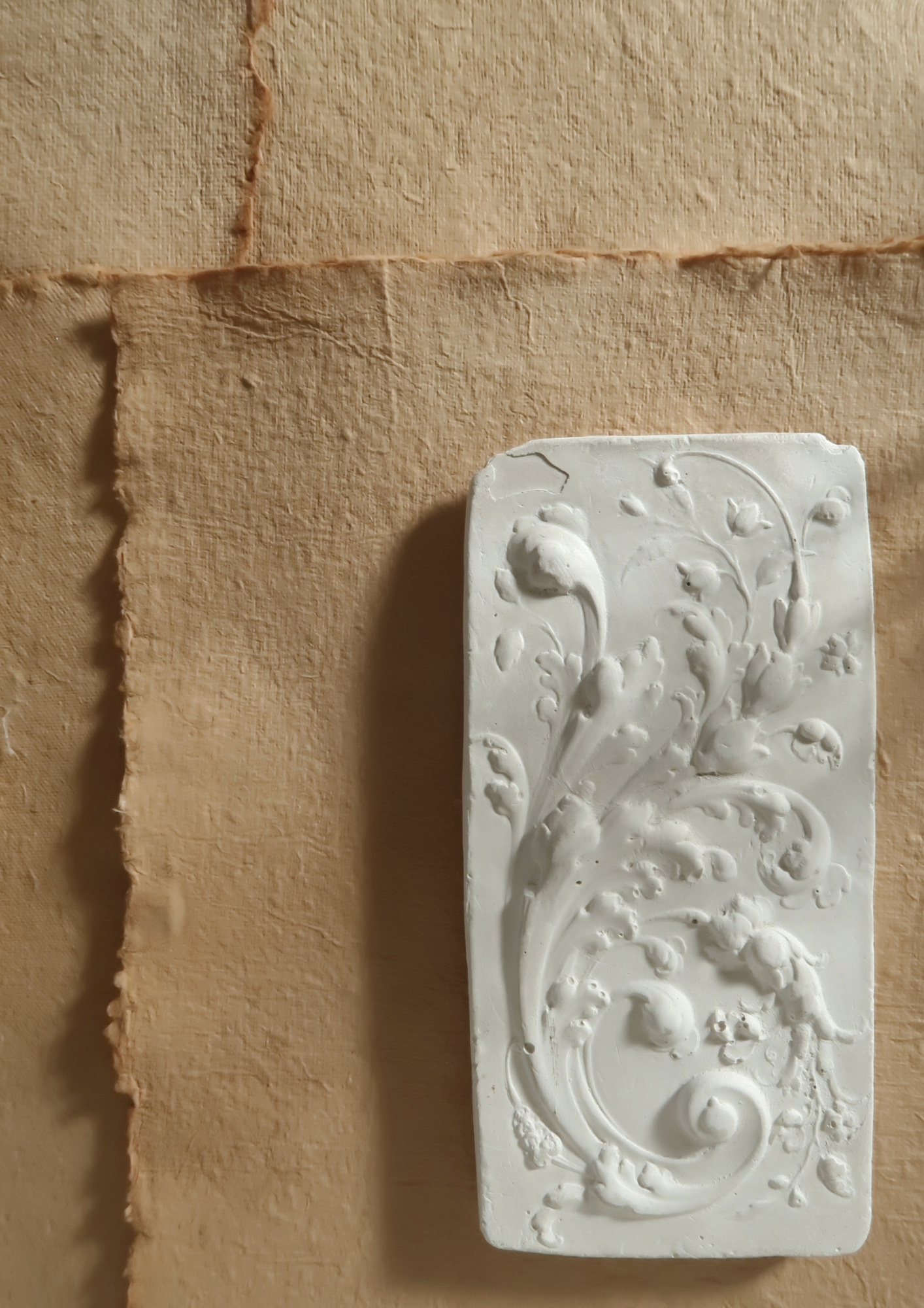 Relief végétal en plâtre