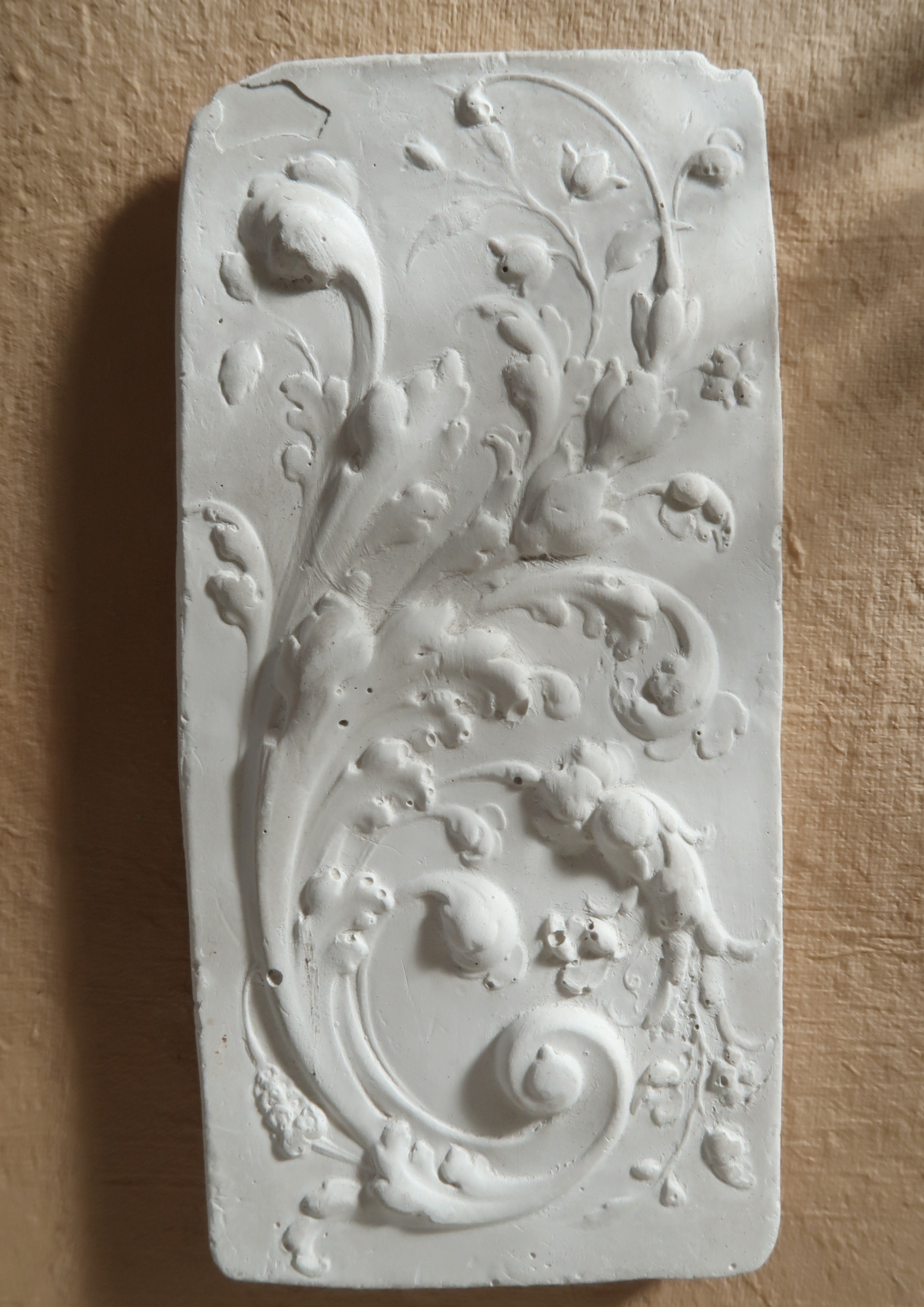 Relief végétal en plâtre