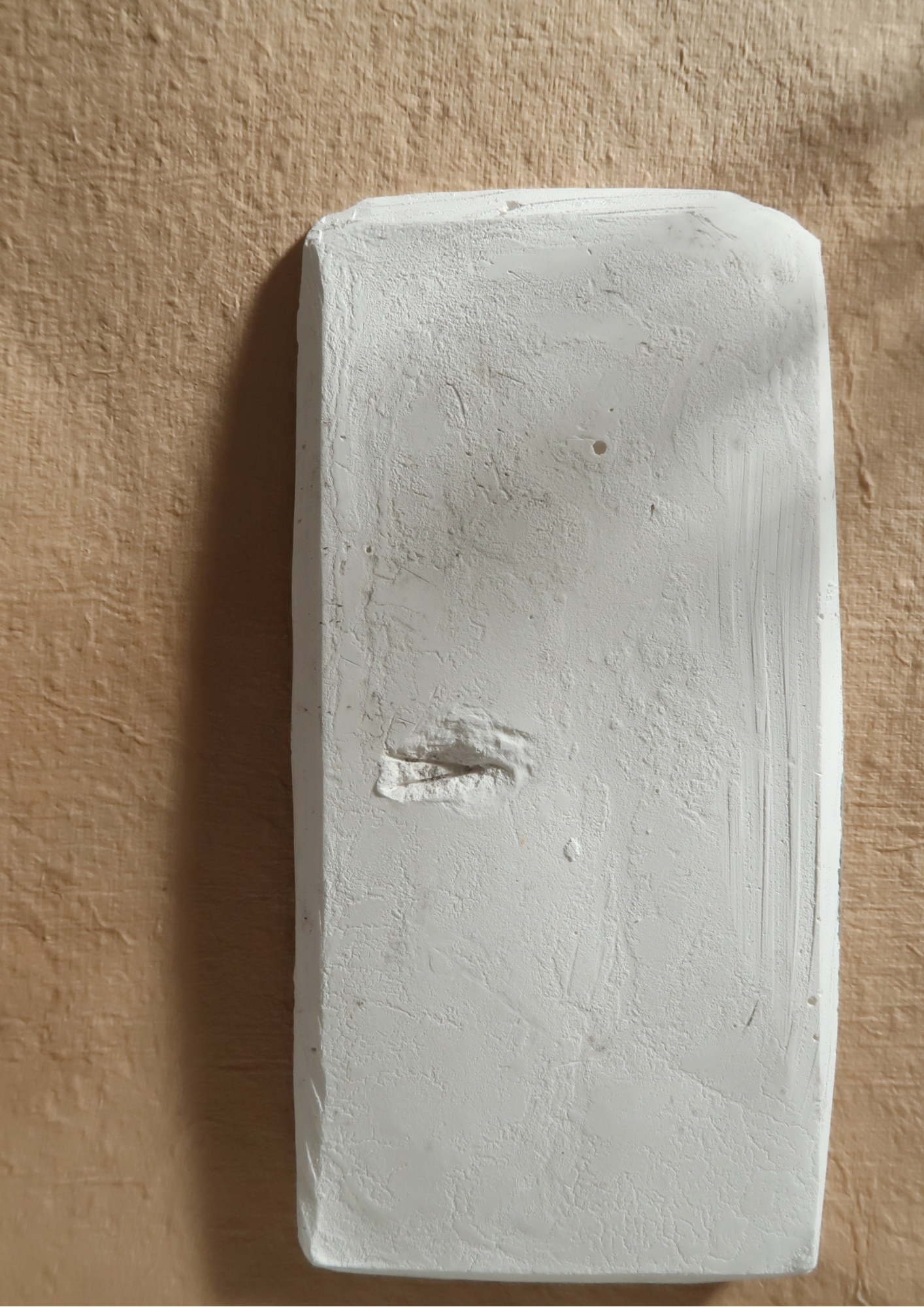 Relief végétal en plâtre