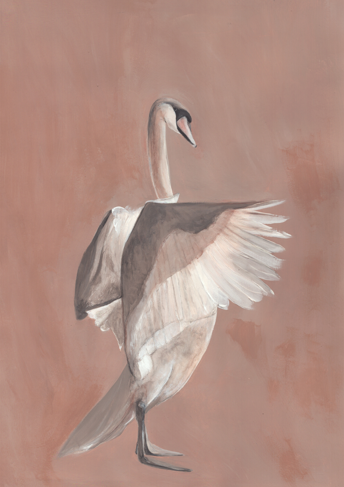 LE cygne