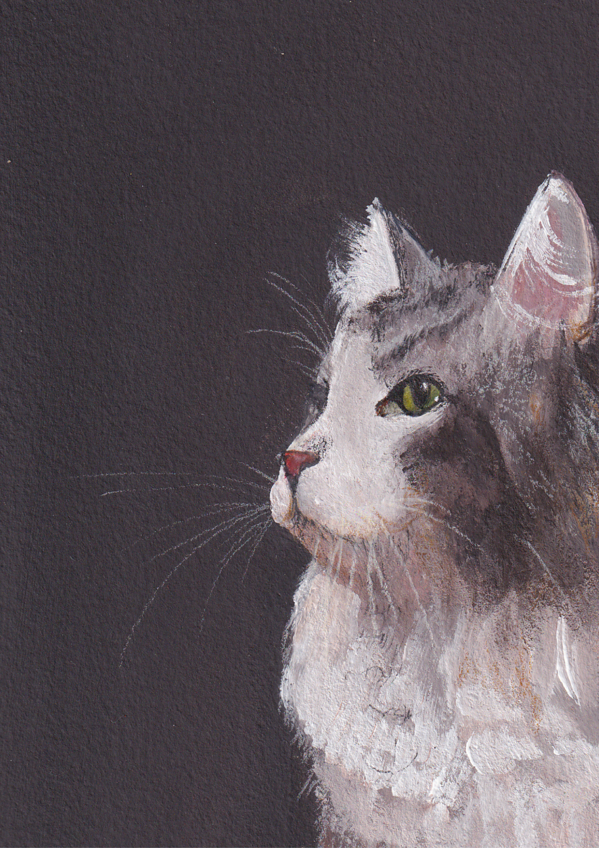 Chat majestueux