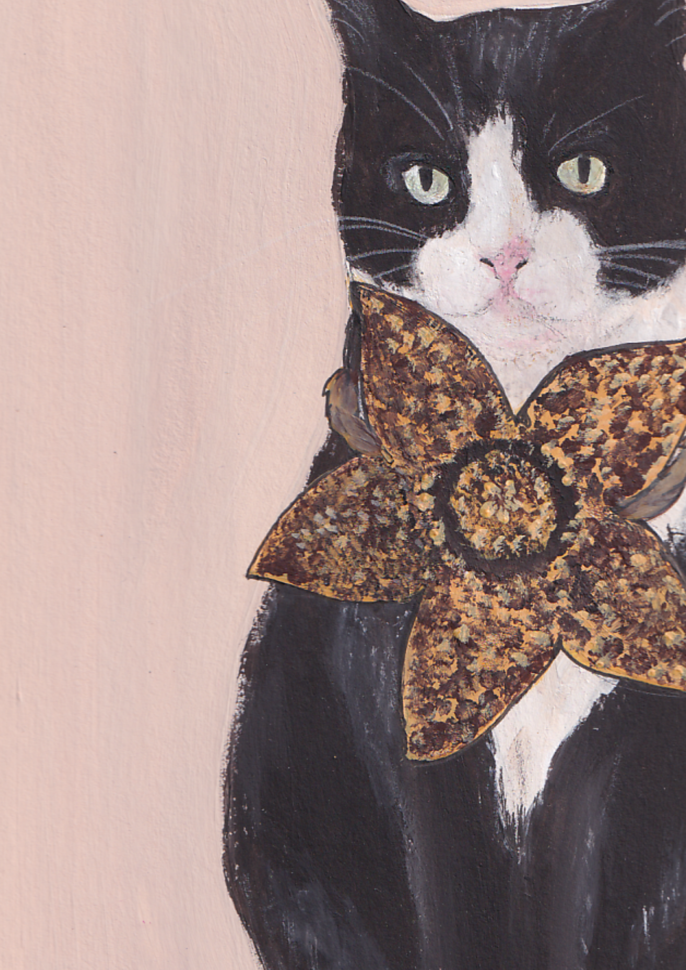 Chat bicolore et sa fleur
