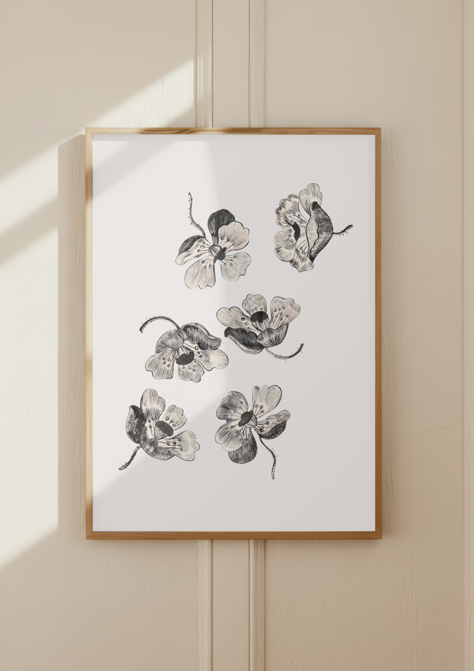 Pavots