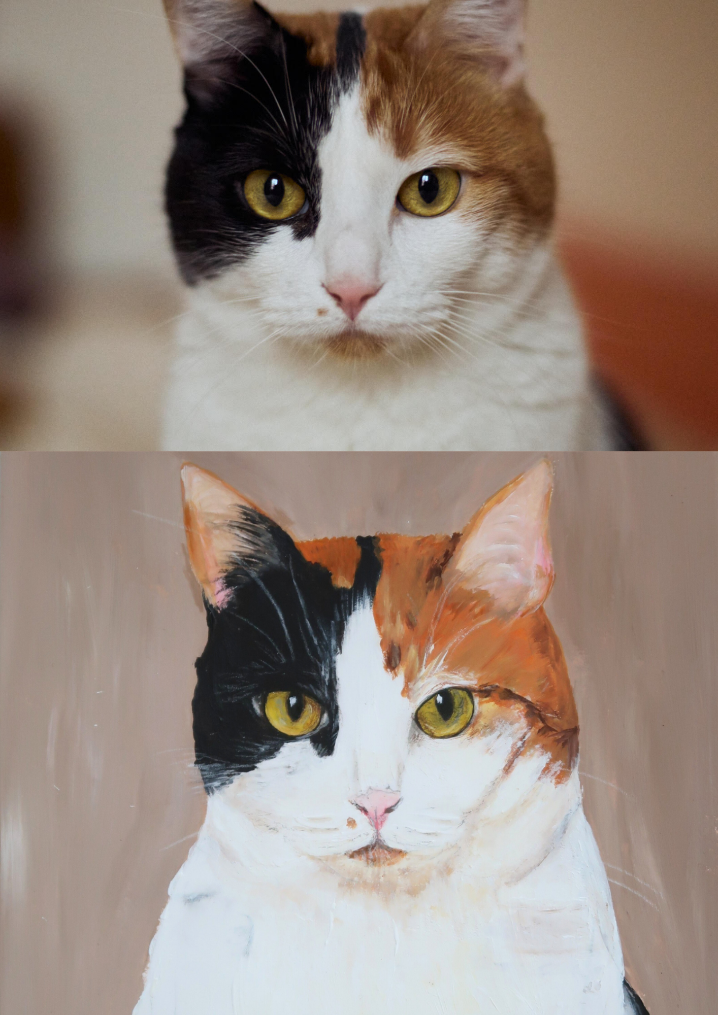 Le Portrait de vos animaux préférés