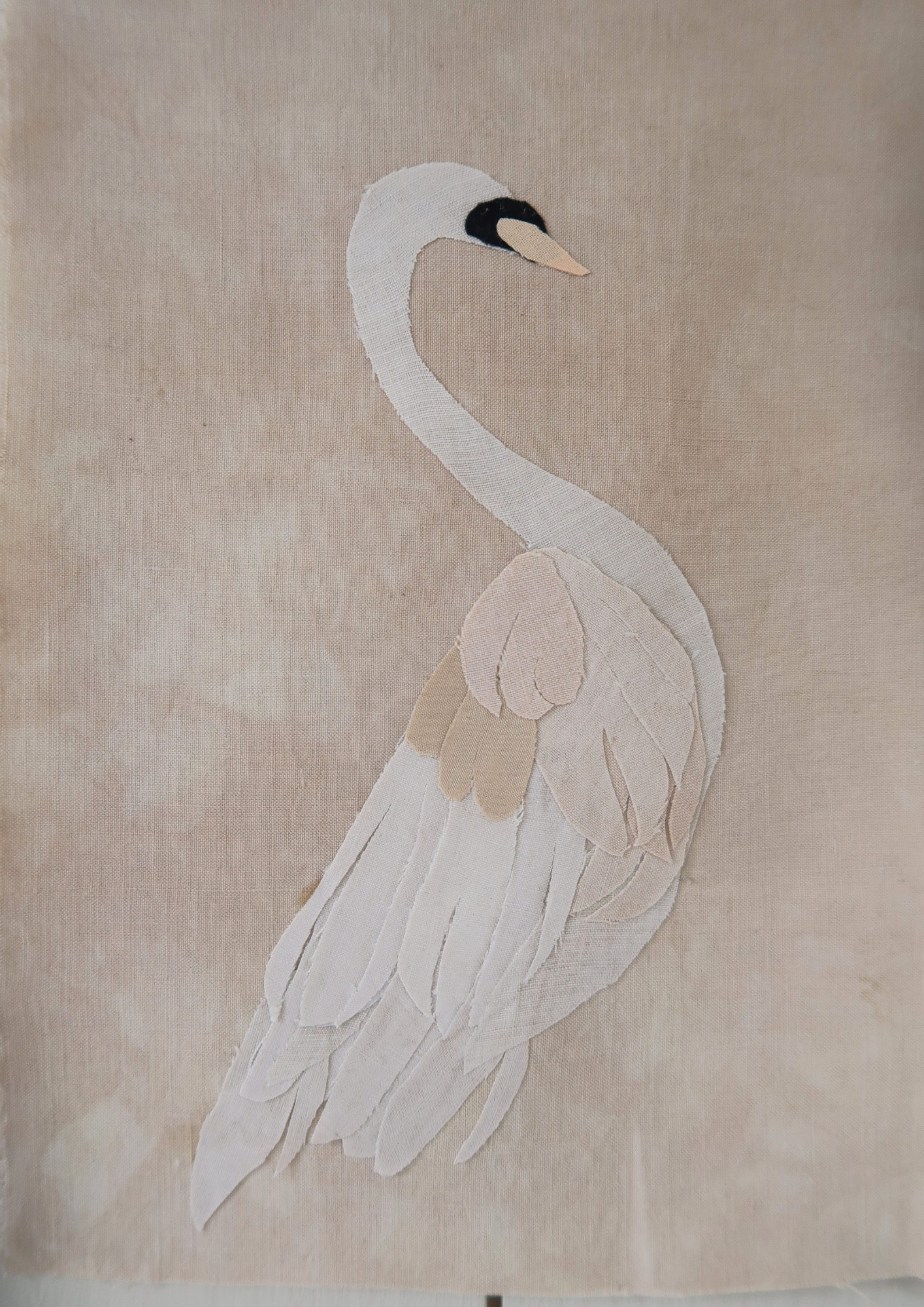Le cygne IV