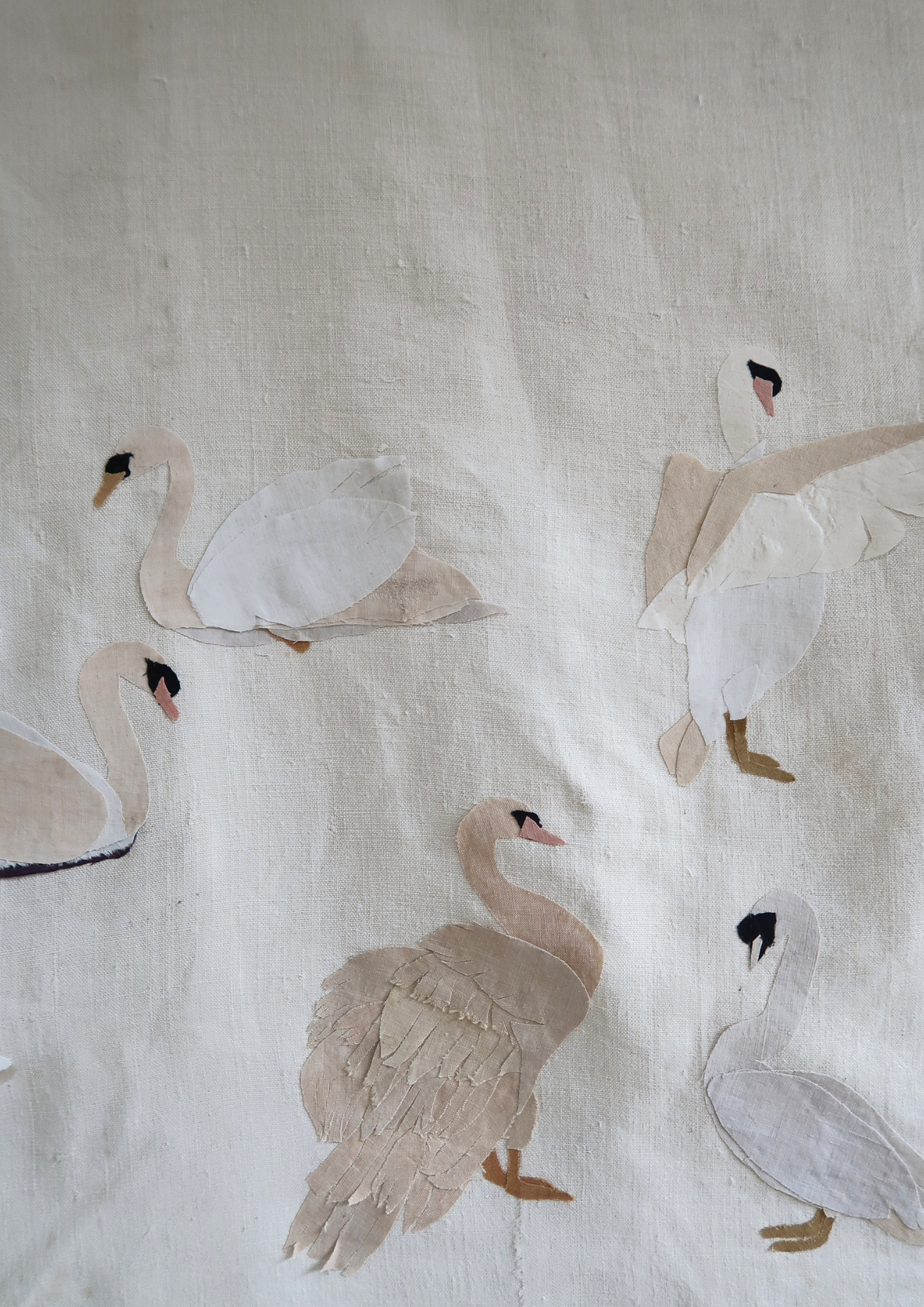 Les Cygnes V