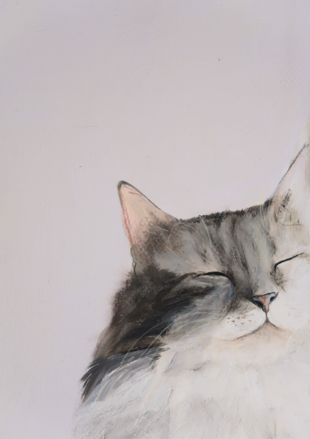 Chat Ragdoll