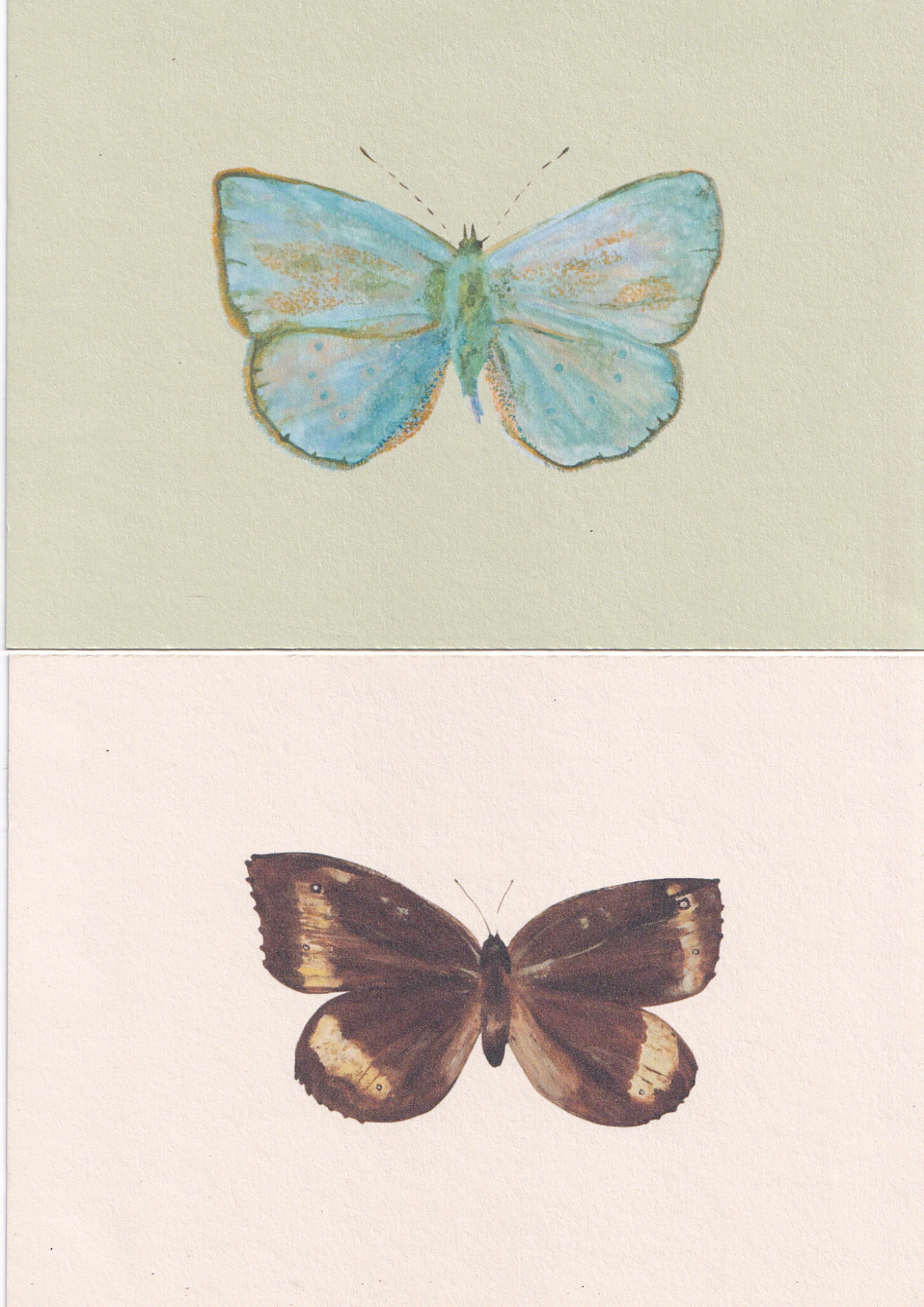 UnLundiOrdinaire. Journal - Collection II - LES MOTIFS