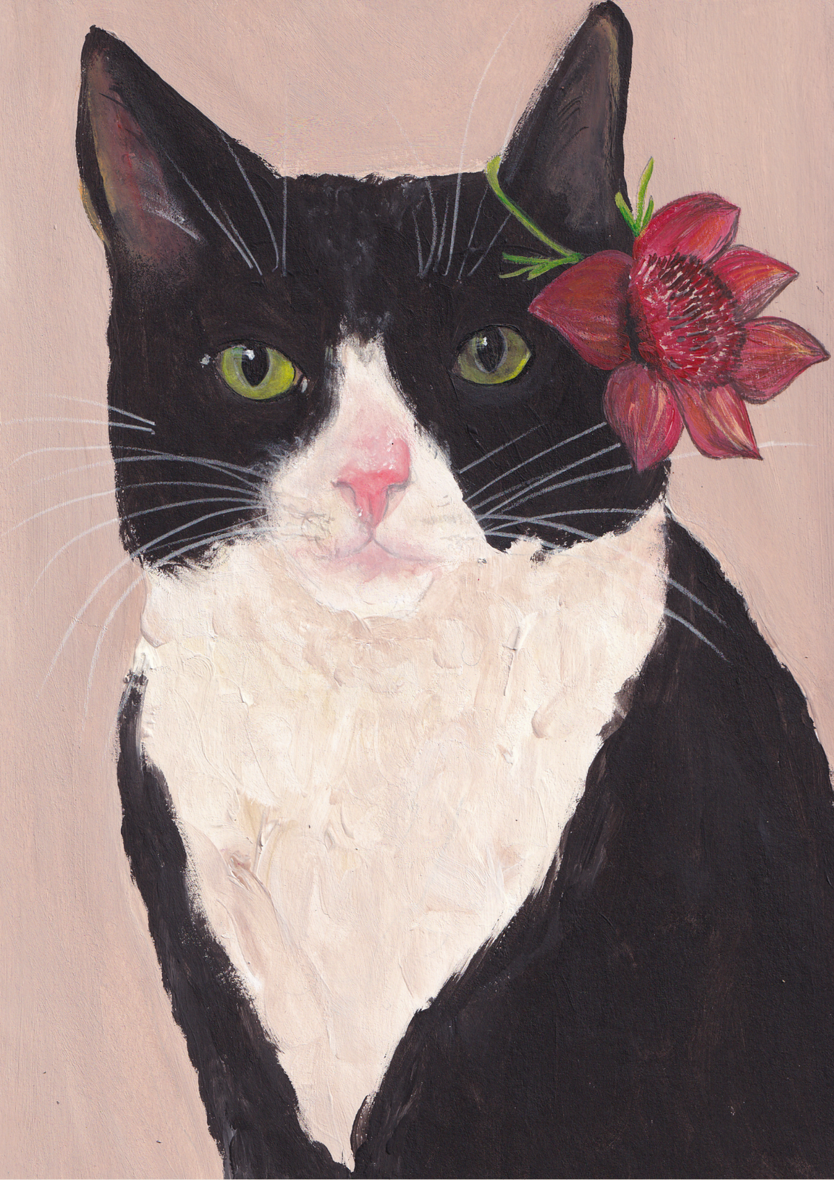 Chat bicolore et sa fleur des îles