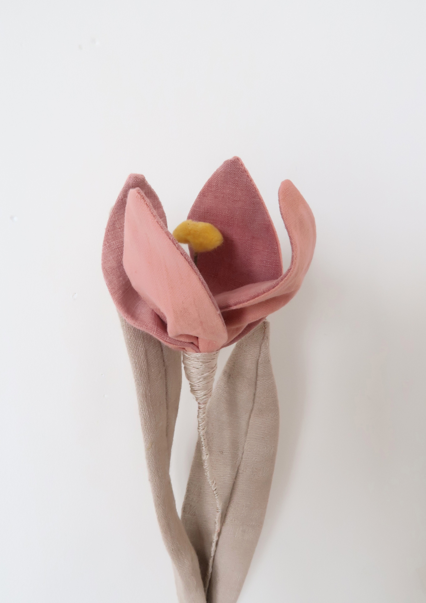 Tulipe à quatre pétales vieux rose