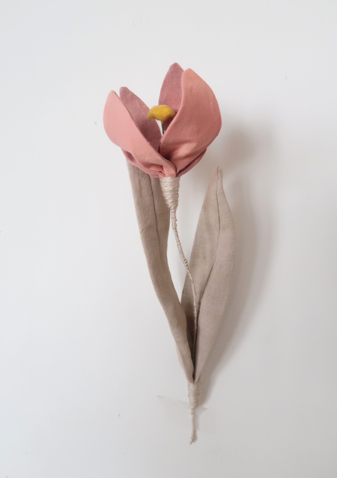 Tulipe à quatre pétales vieux rose