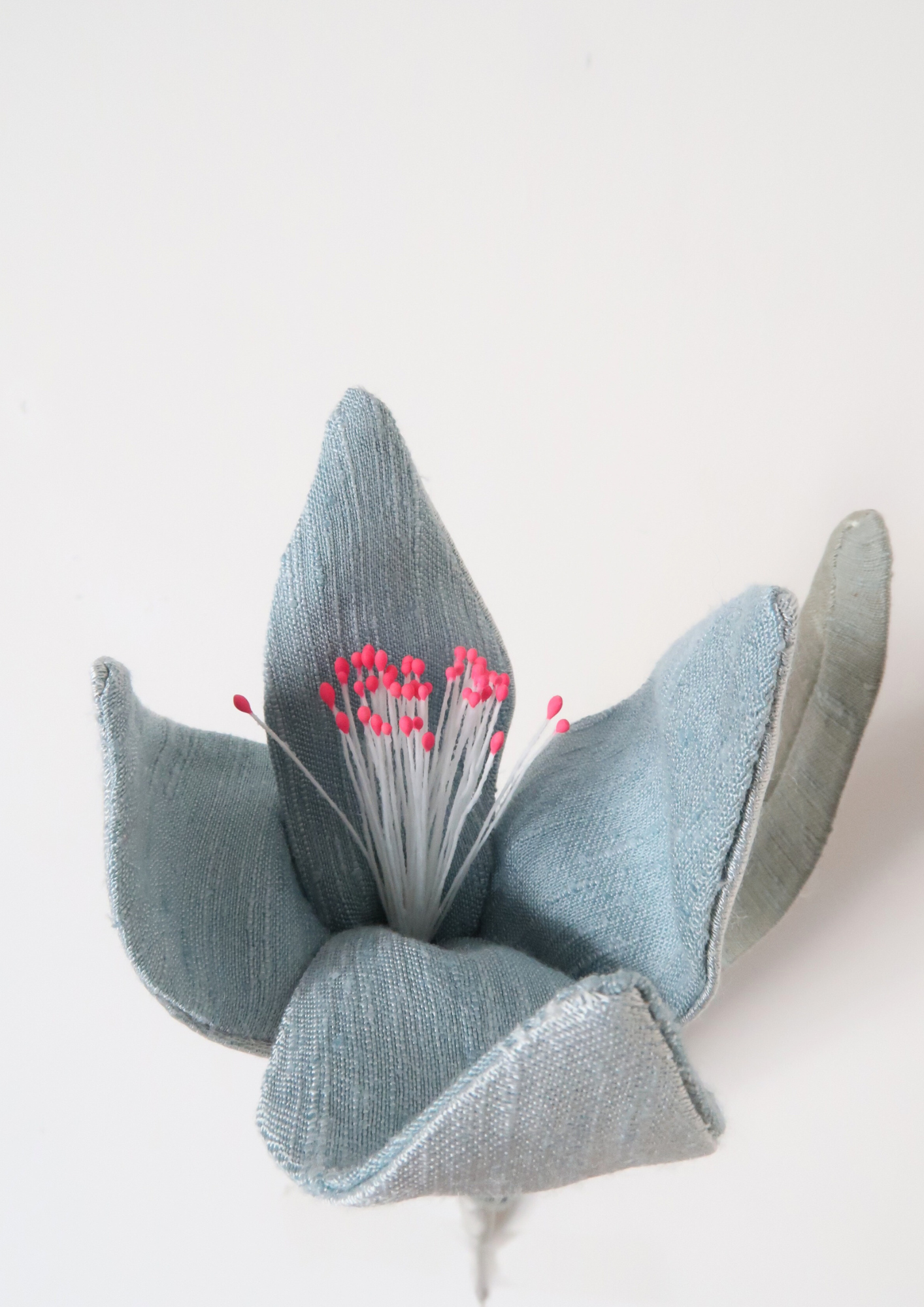 Tulipe à quatre pétales bleue