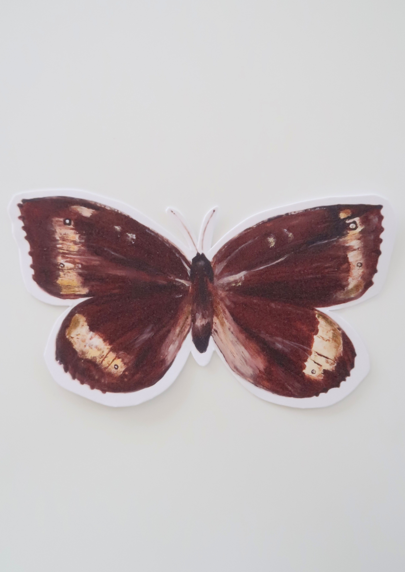 Petite carte Papillon Brun