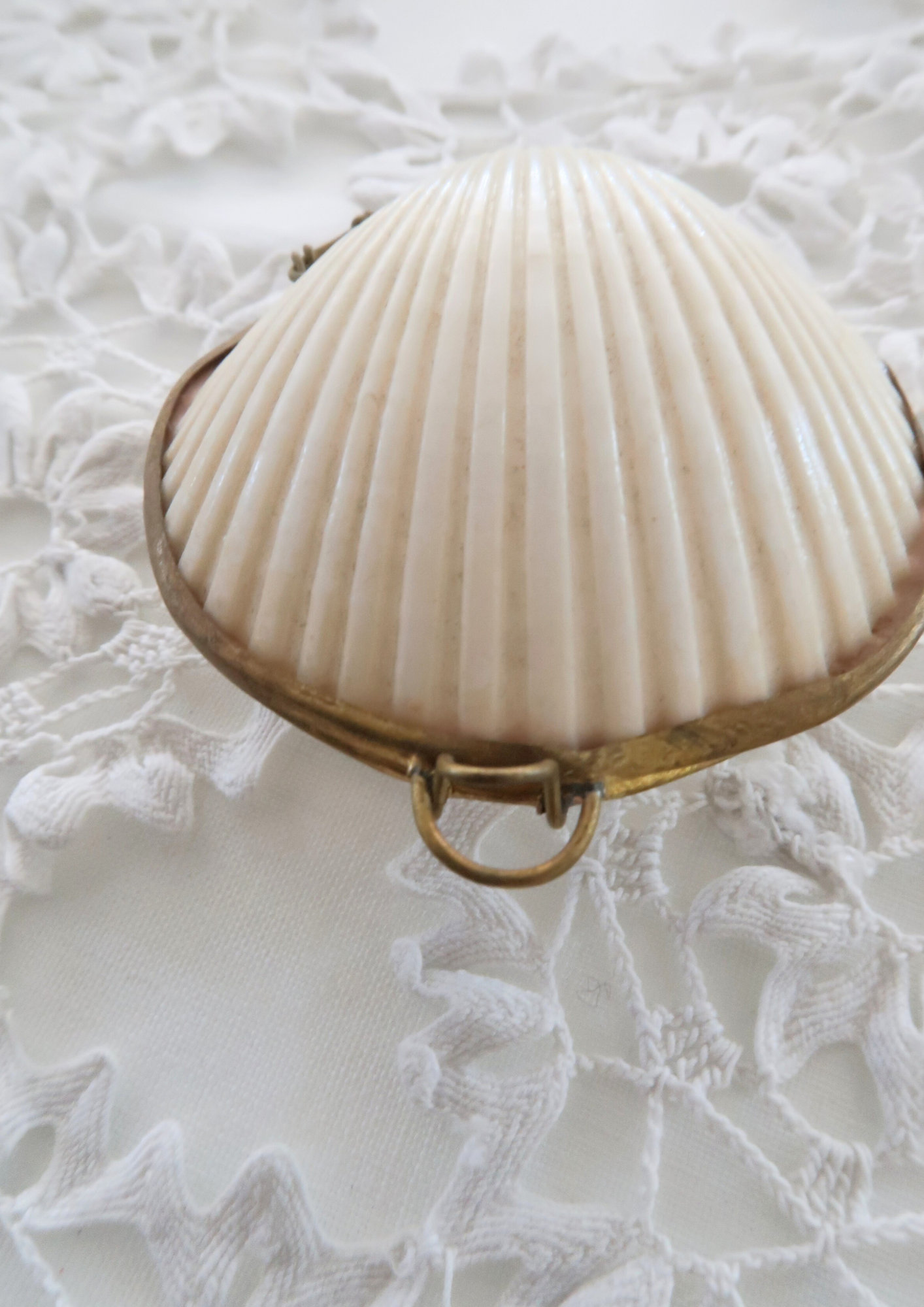 Boîte ancienne coquillage naturel