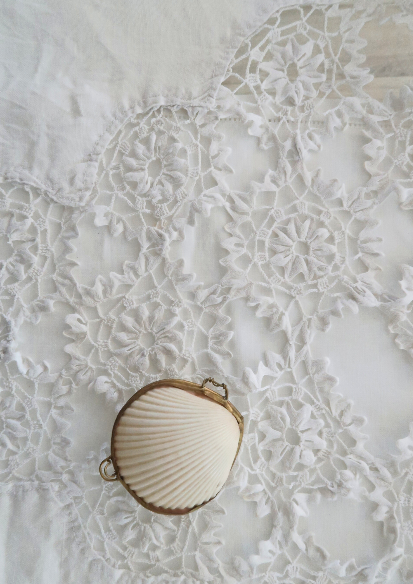 Boîte ancienne coquillage naturel