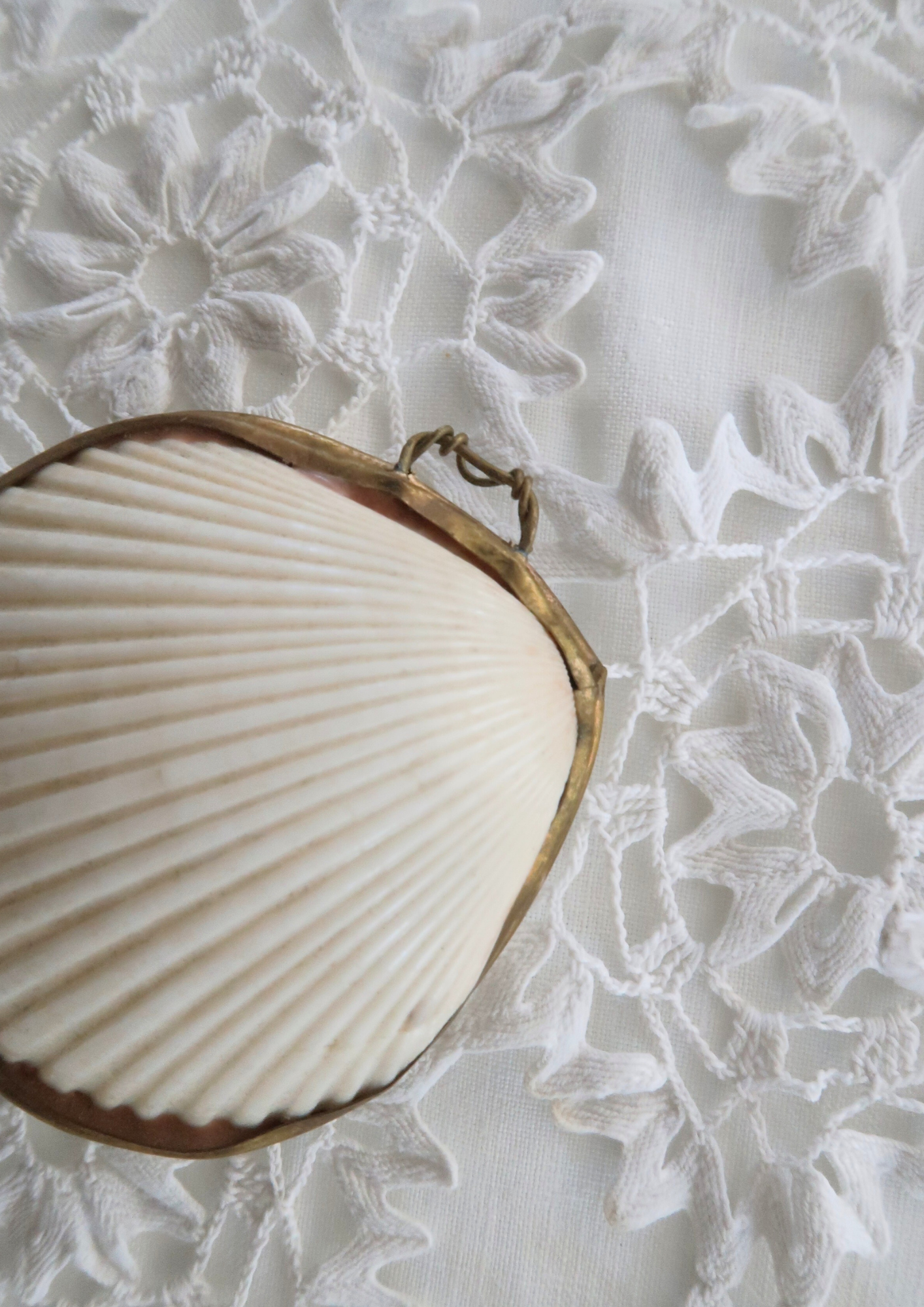 Boîte ancienne coquillage naturel