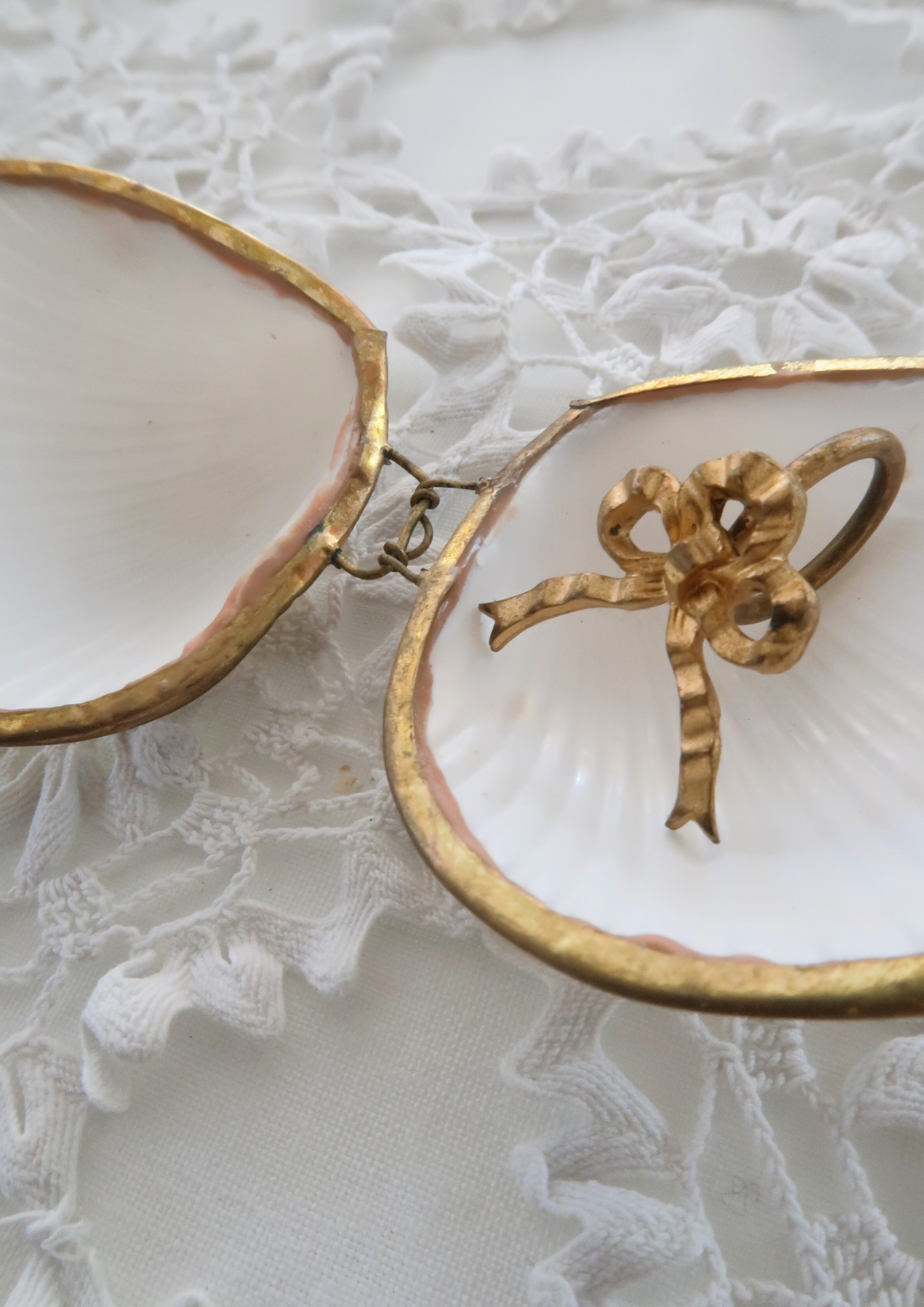 Boîte ancienne coquillage naturel