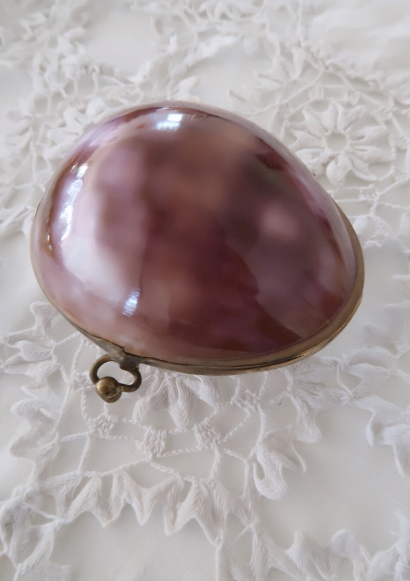 Boîte vintage coquillage naturel parme