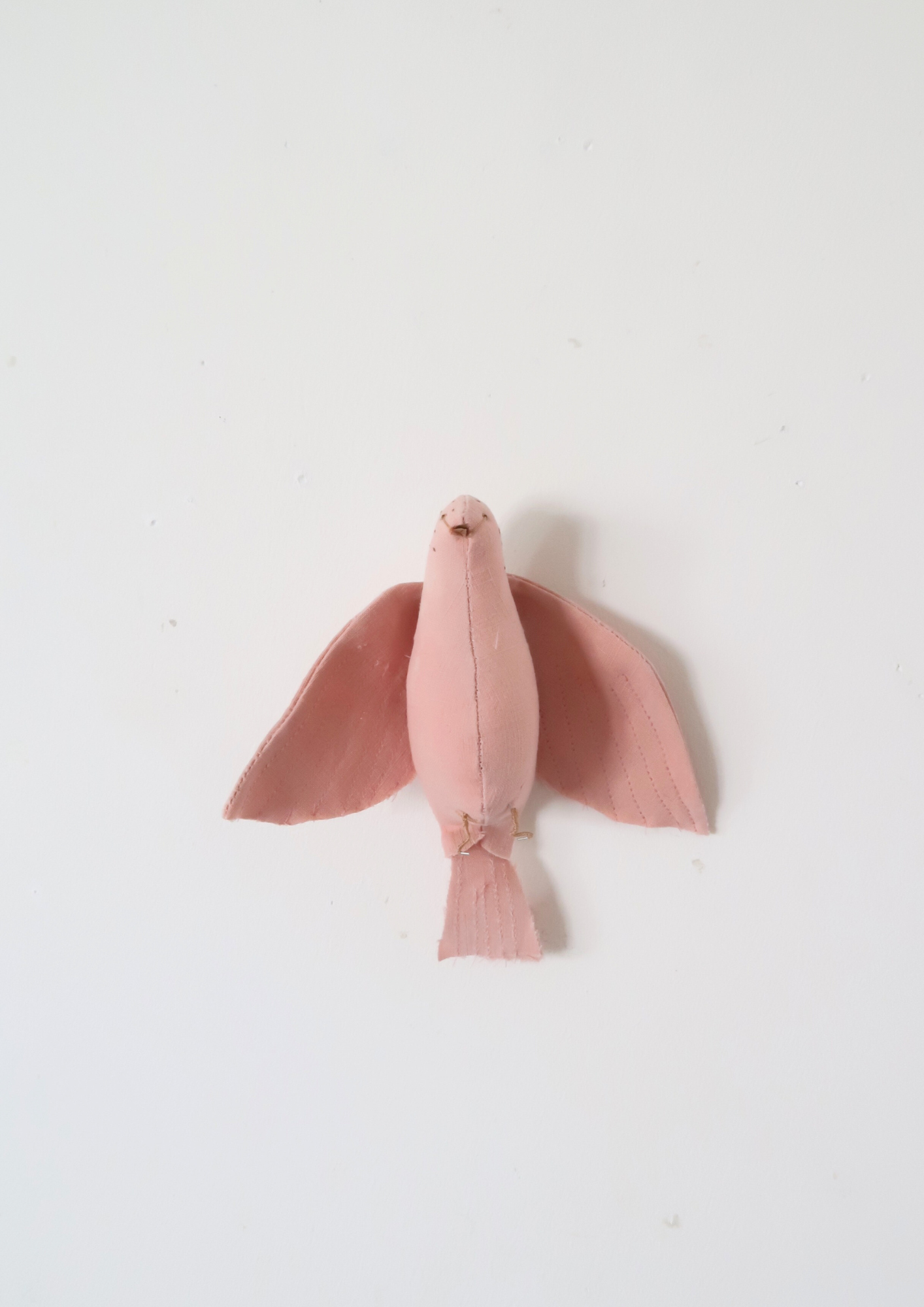 Petit oiseau rose garance