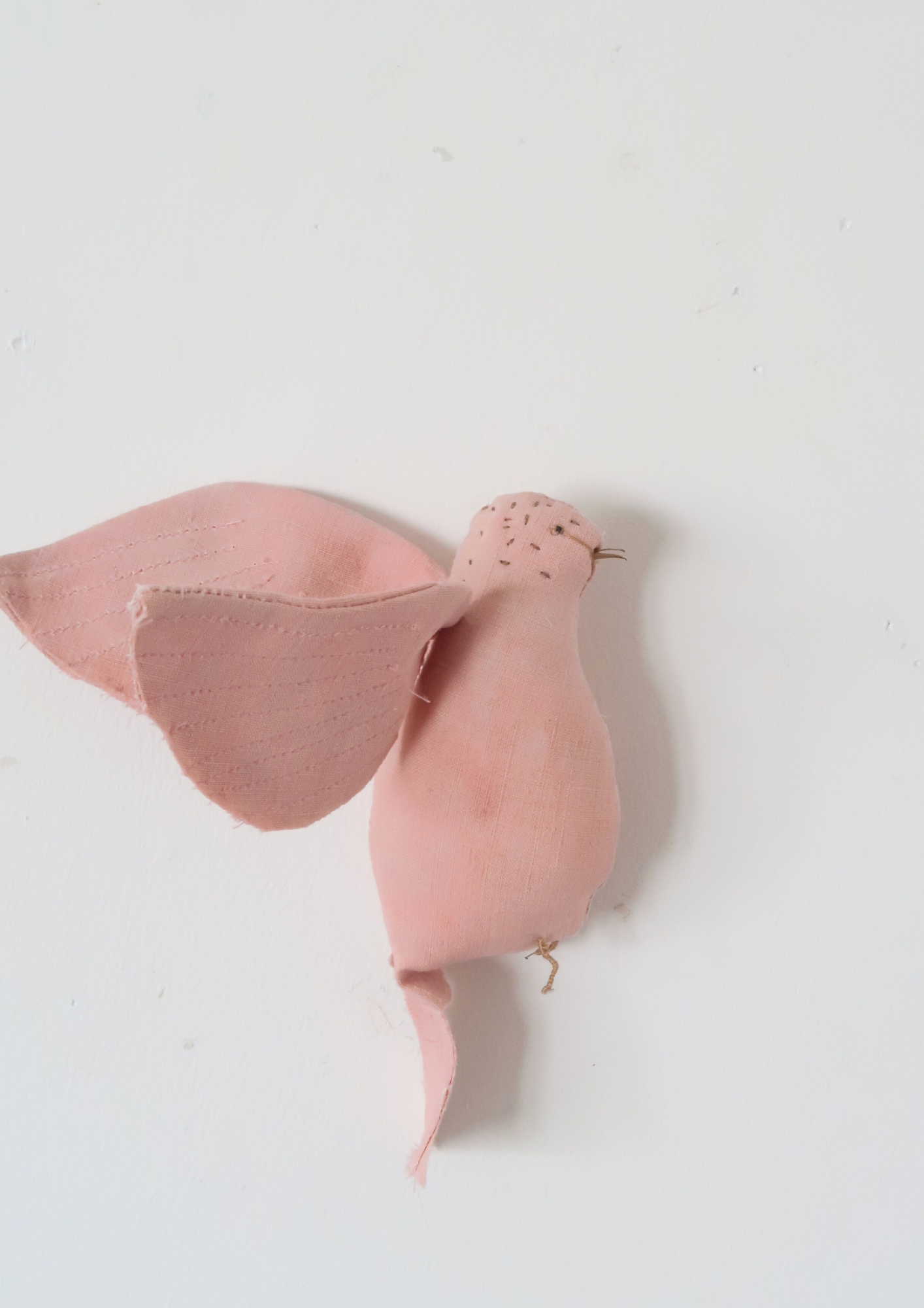 Petit oiseau rose garance