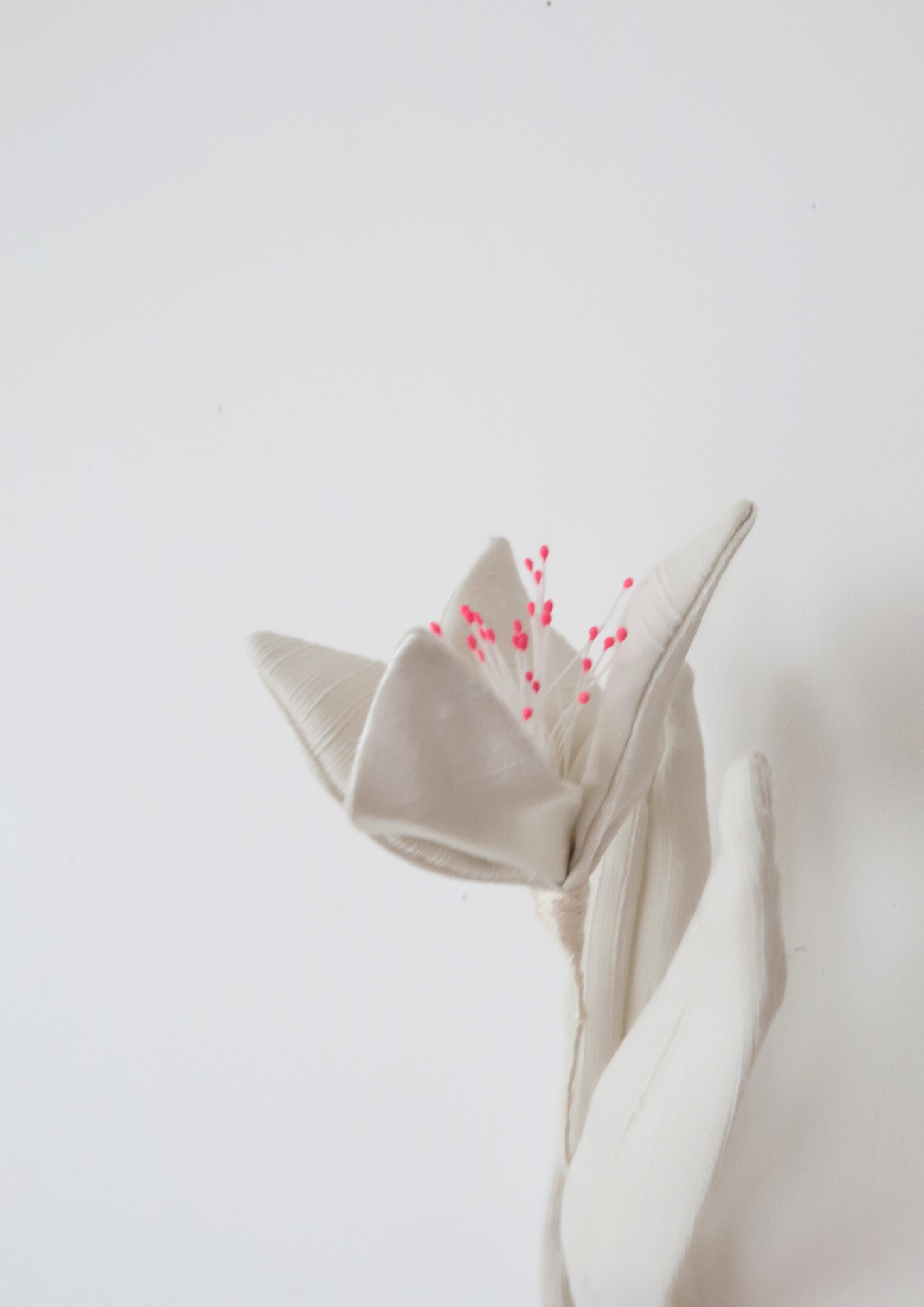 Tulipe à quatre pétale blanche