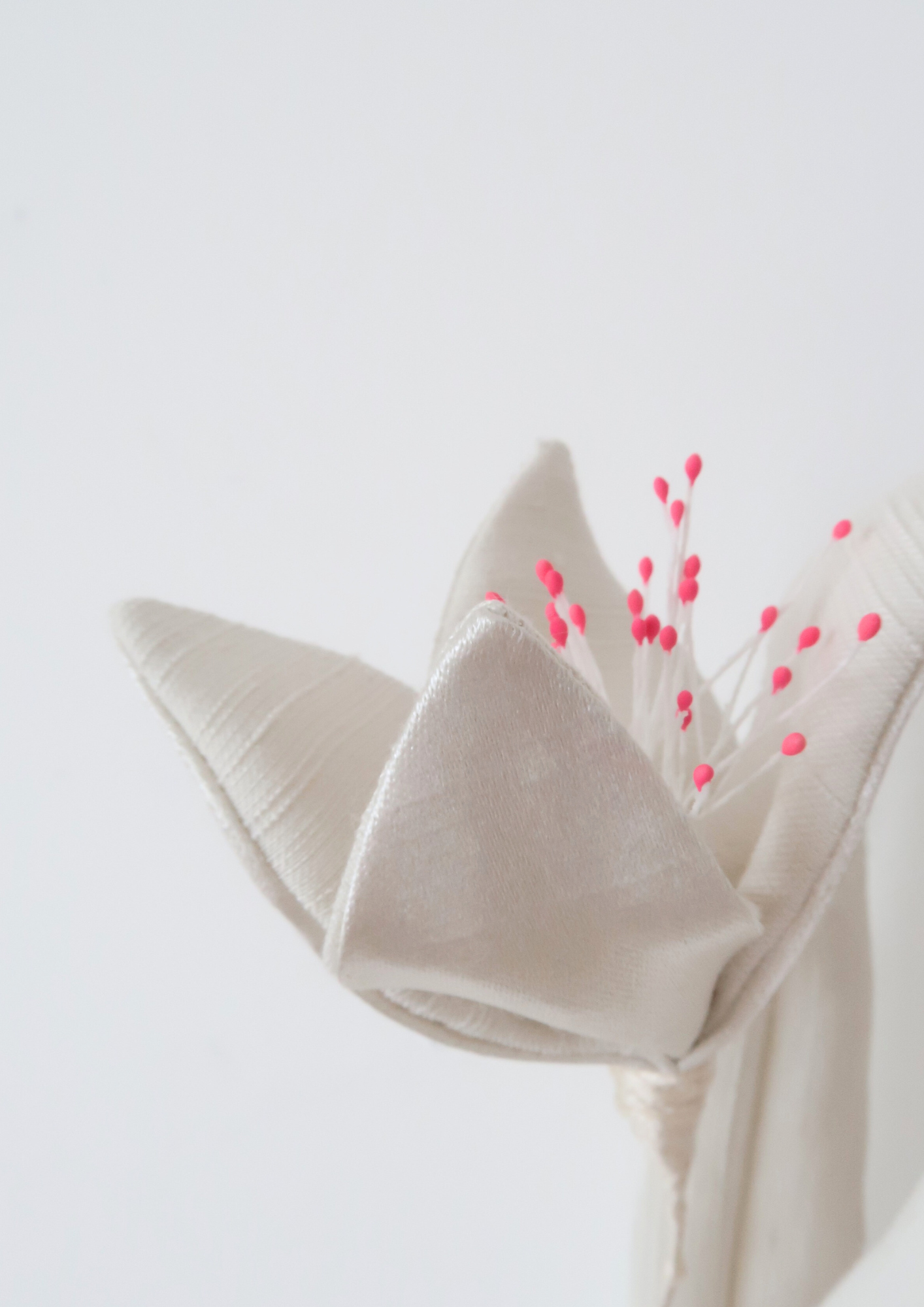 Tulipe à quatre pétale blanche