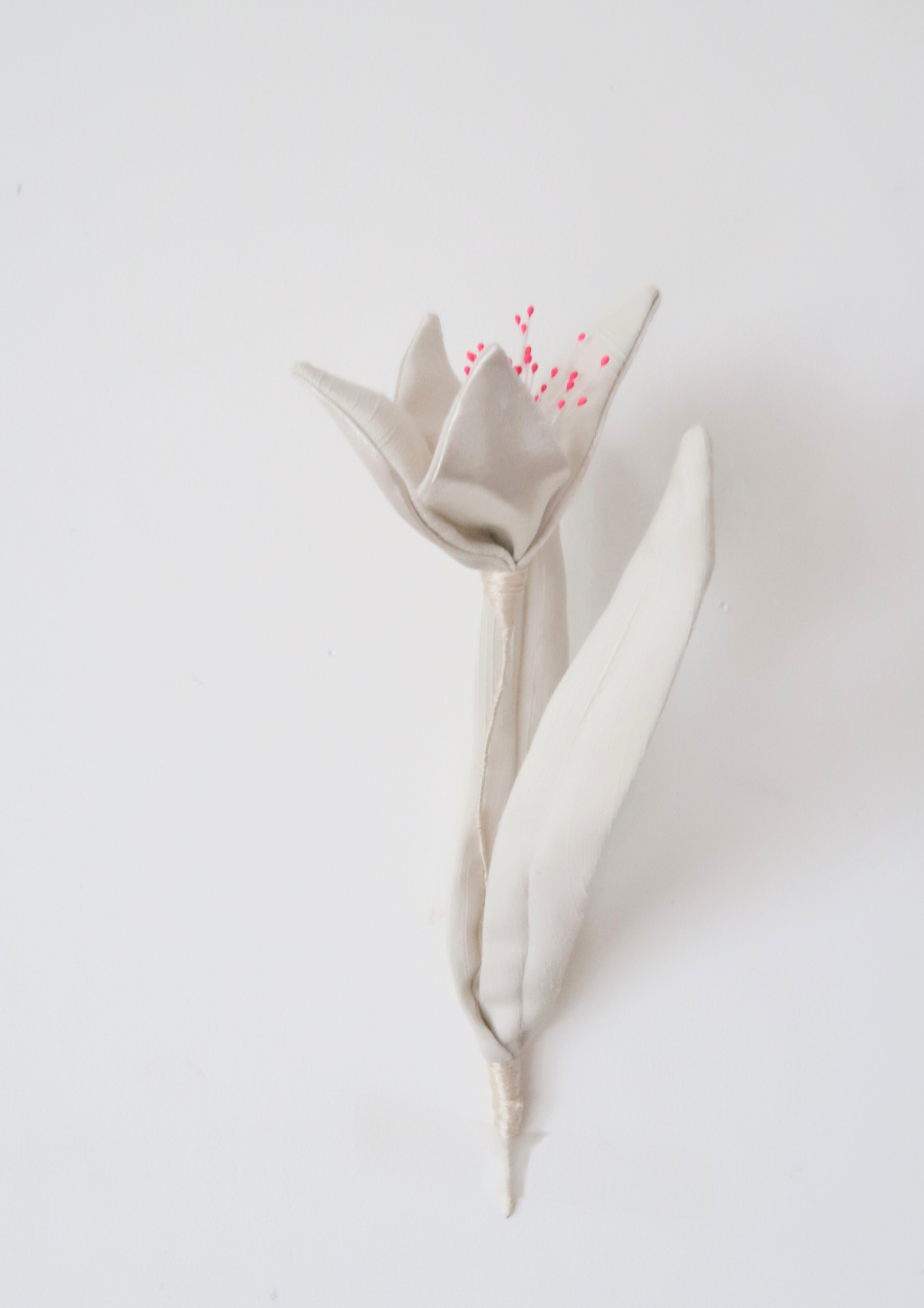 Tulipe à quatre pétale blanche