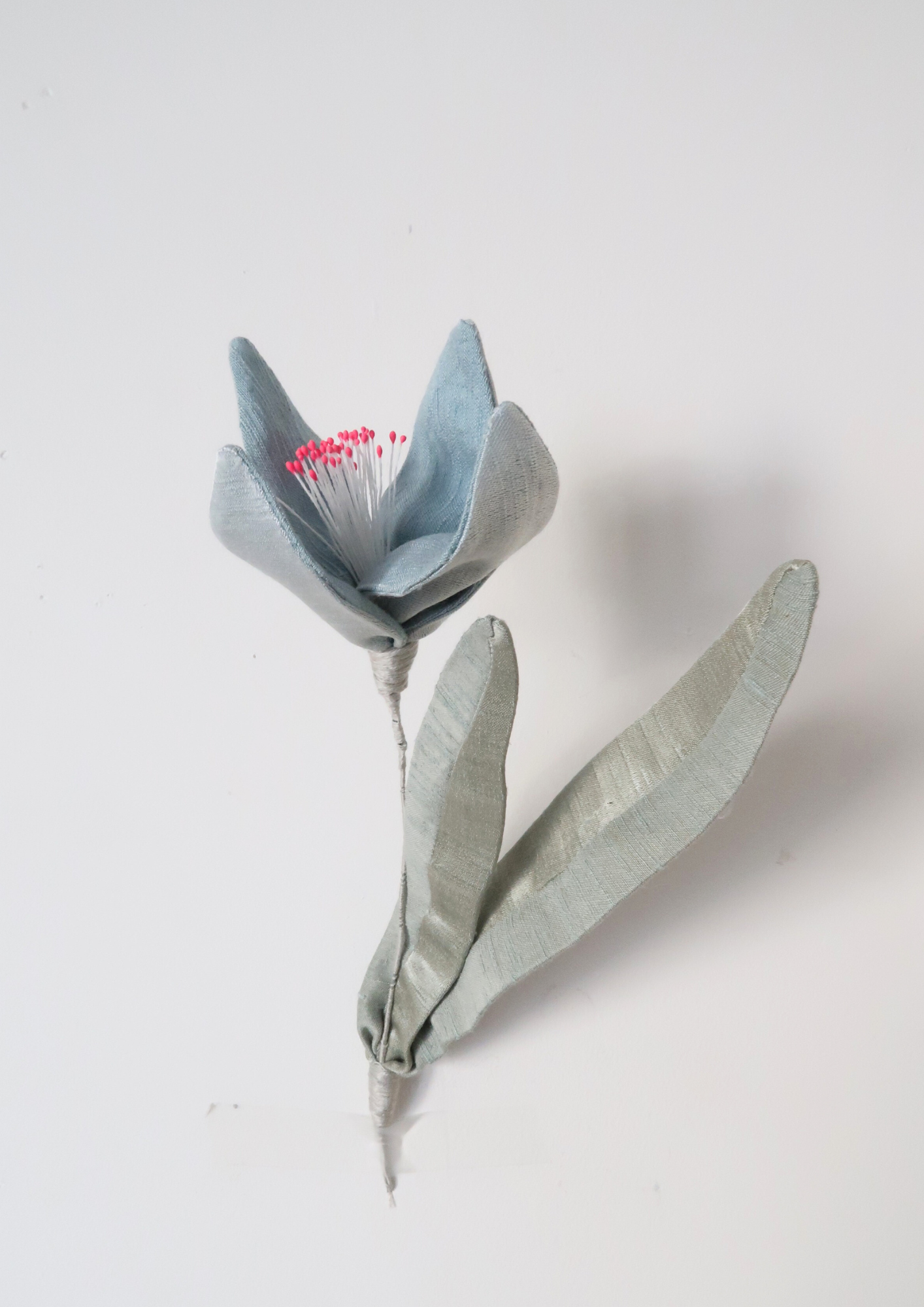 Tulipe à quatre pétales bleue