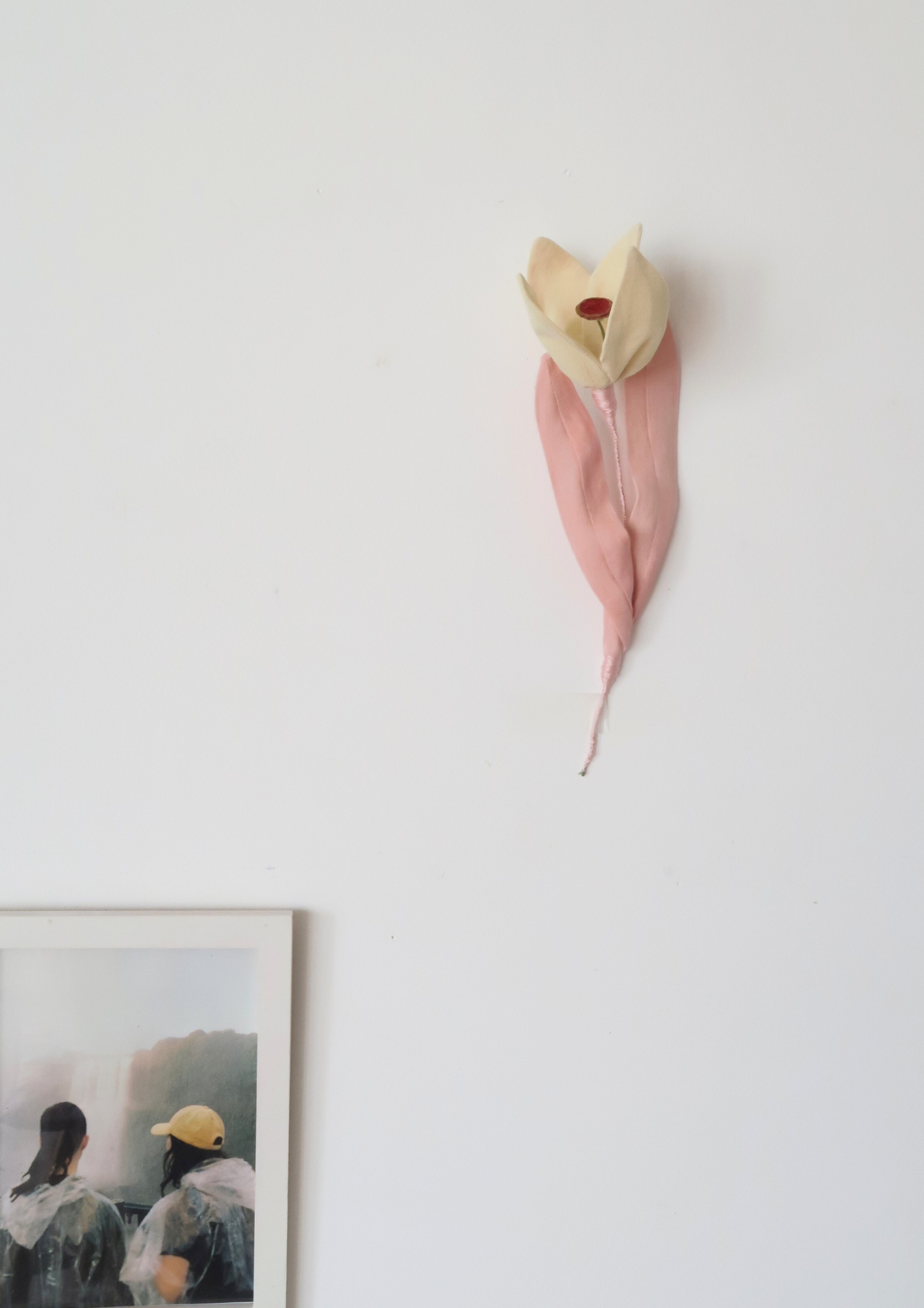 Tulipe à quatre pétales jaune beurre