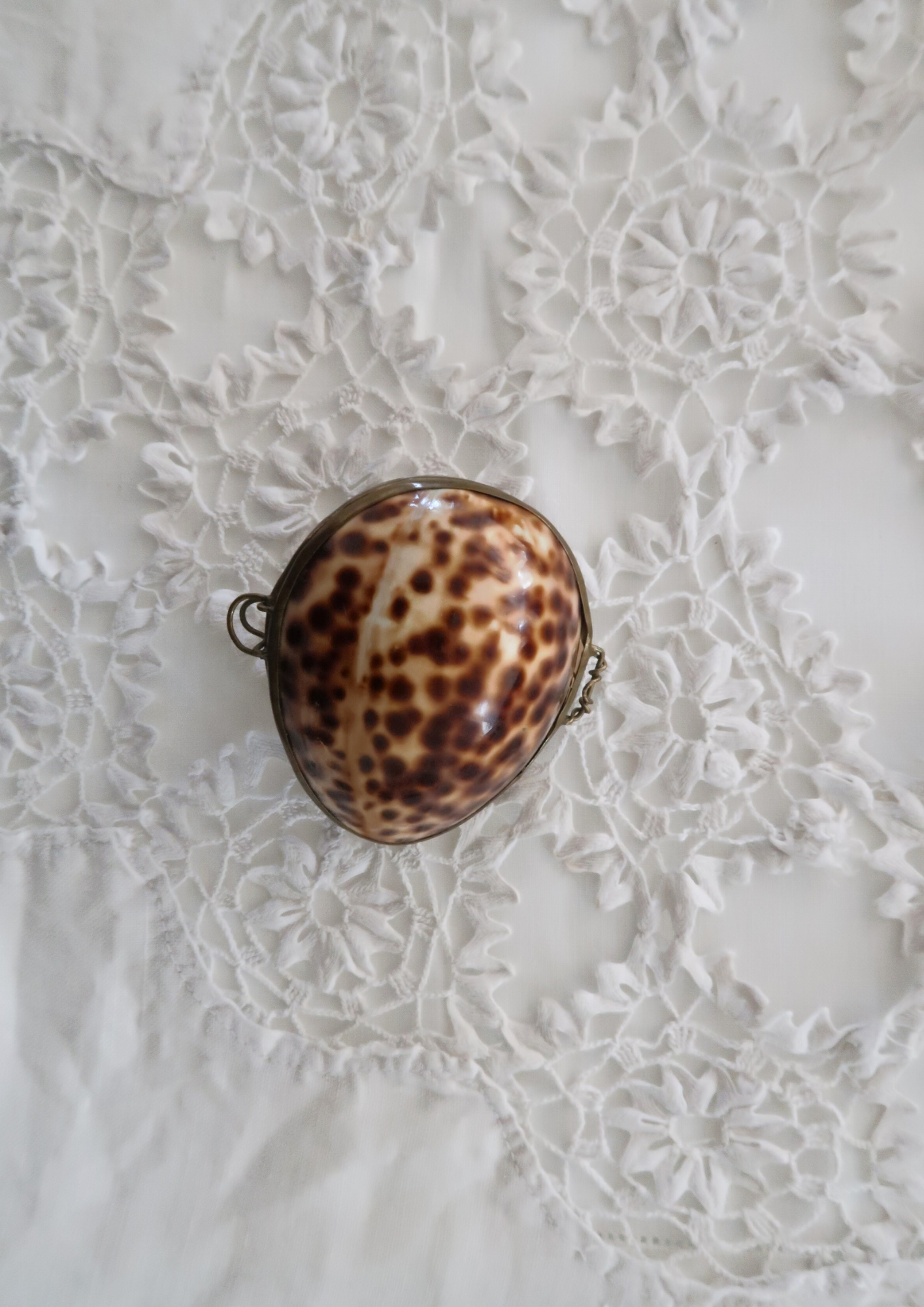 Boîte vintage coquillage naturel tacheté