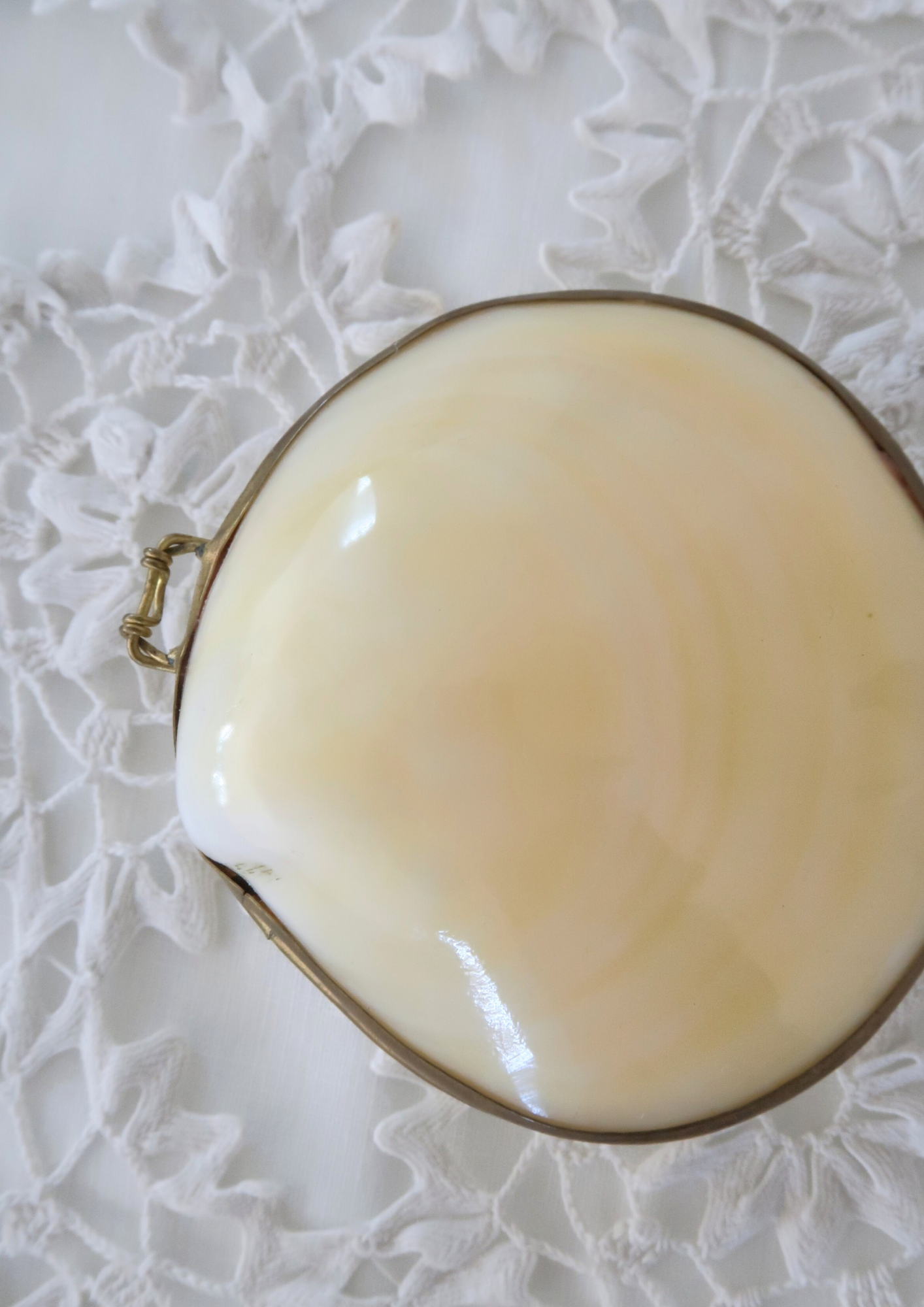 Boîte ancienne coquillage naturel crème