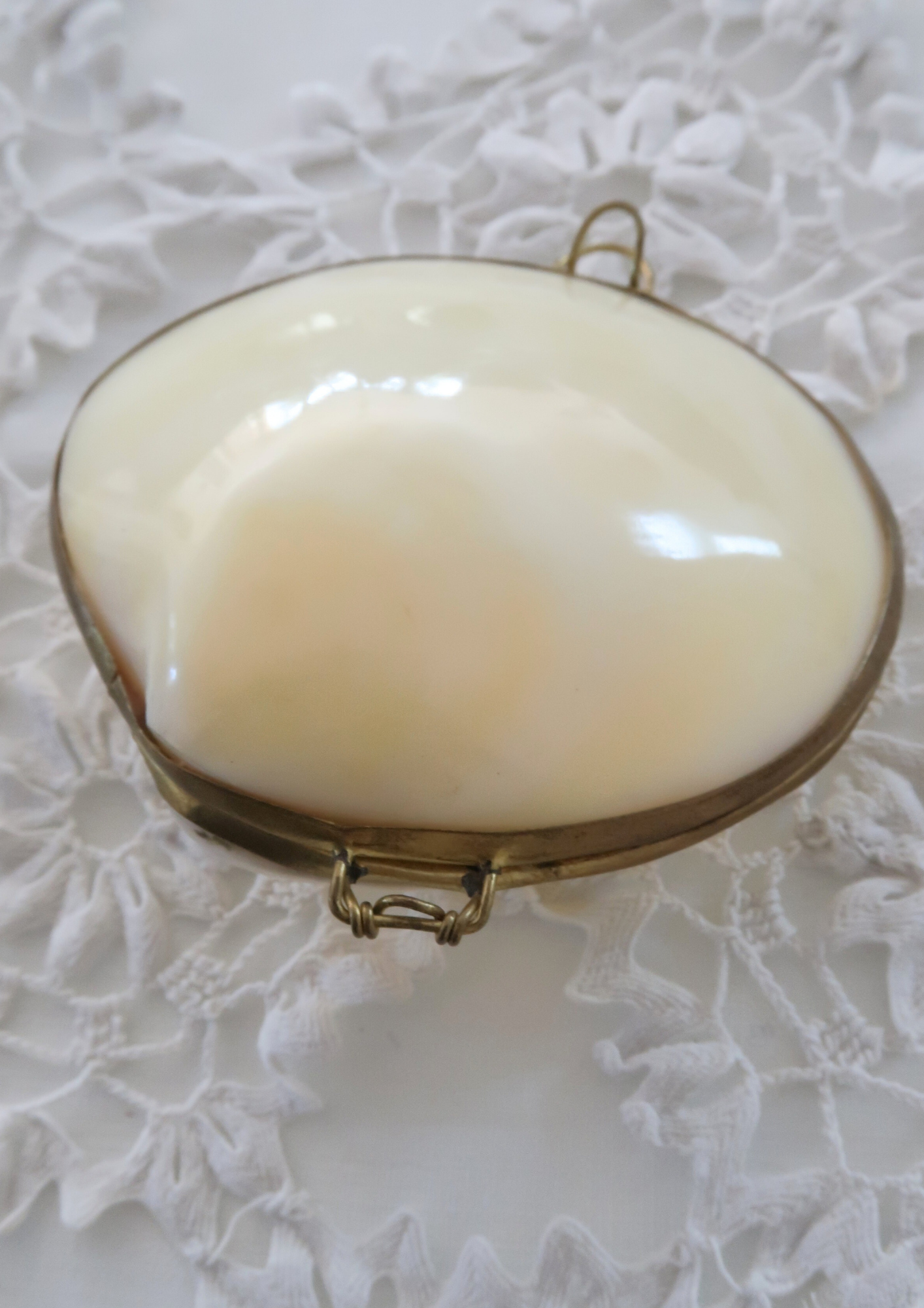 Boîte ancienne coquillage naturel crème