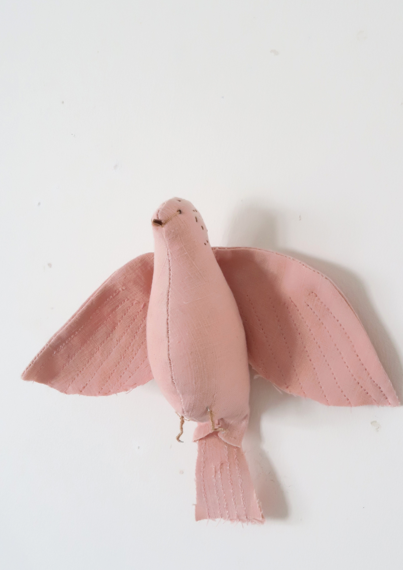 Petit oiseau rose garance