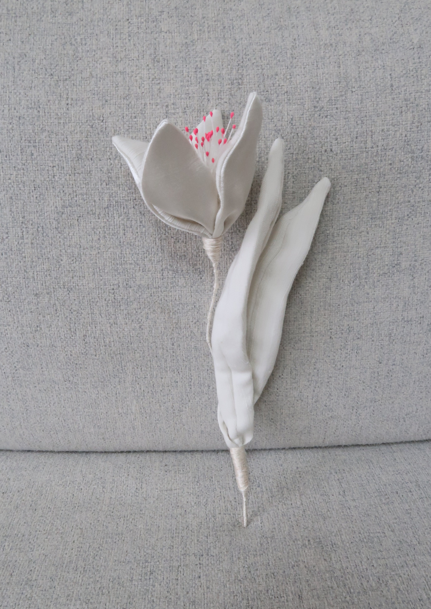 Tulipe à quatre pétale blanche