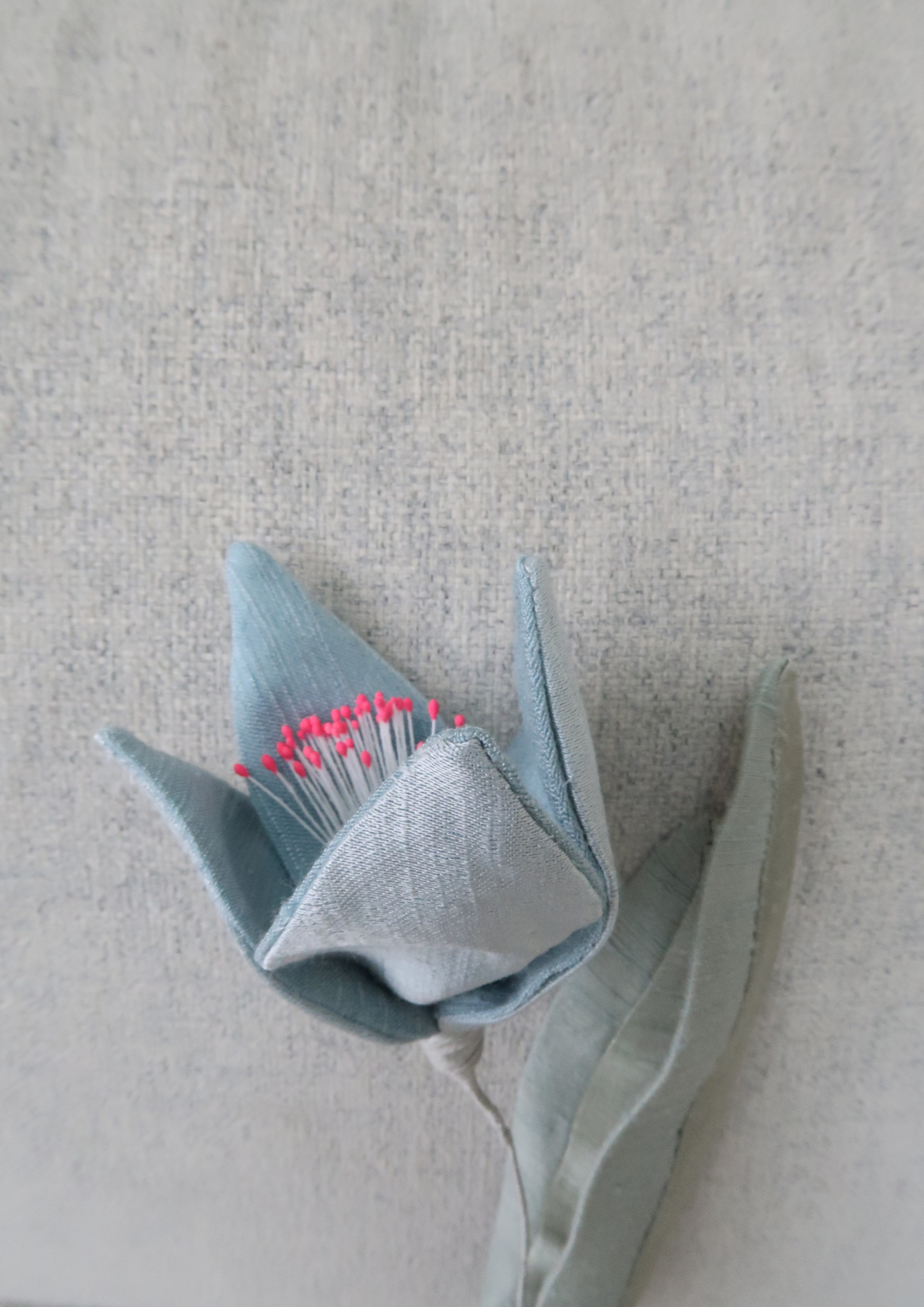 Tulipe à quatre pétales bleue