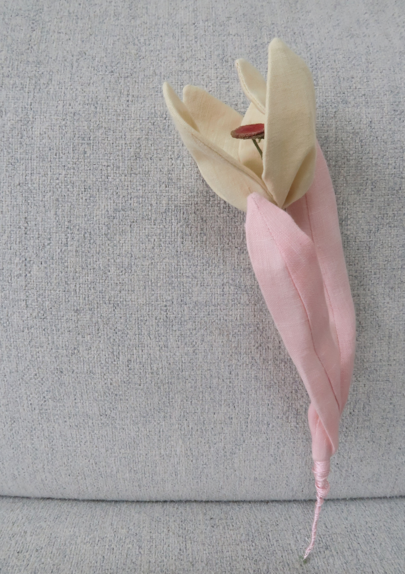 Tulipe à quatre pétales jaune beurre