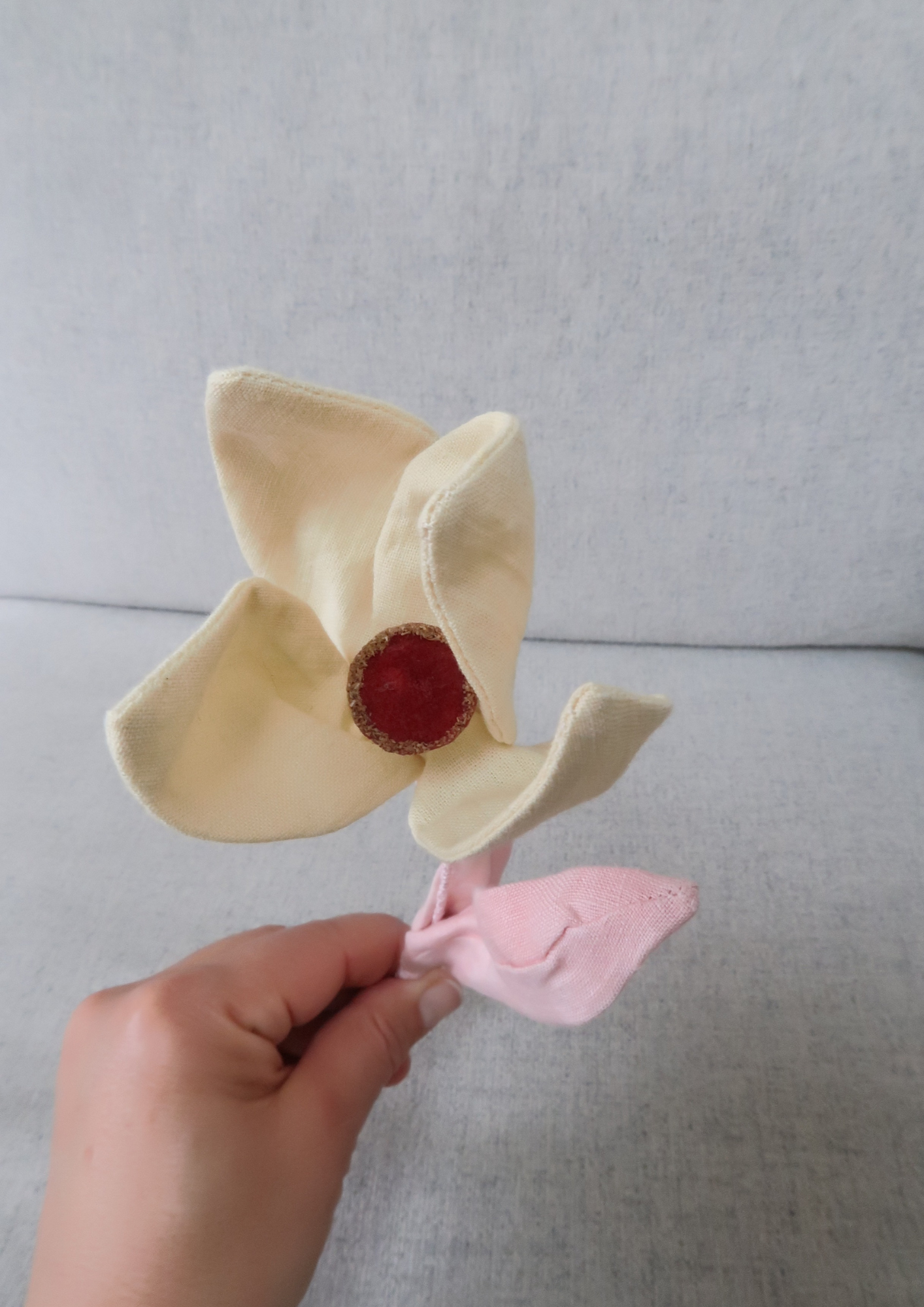 Tulipe à quatre pétales jaune beurre