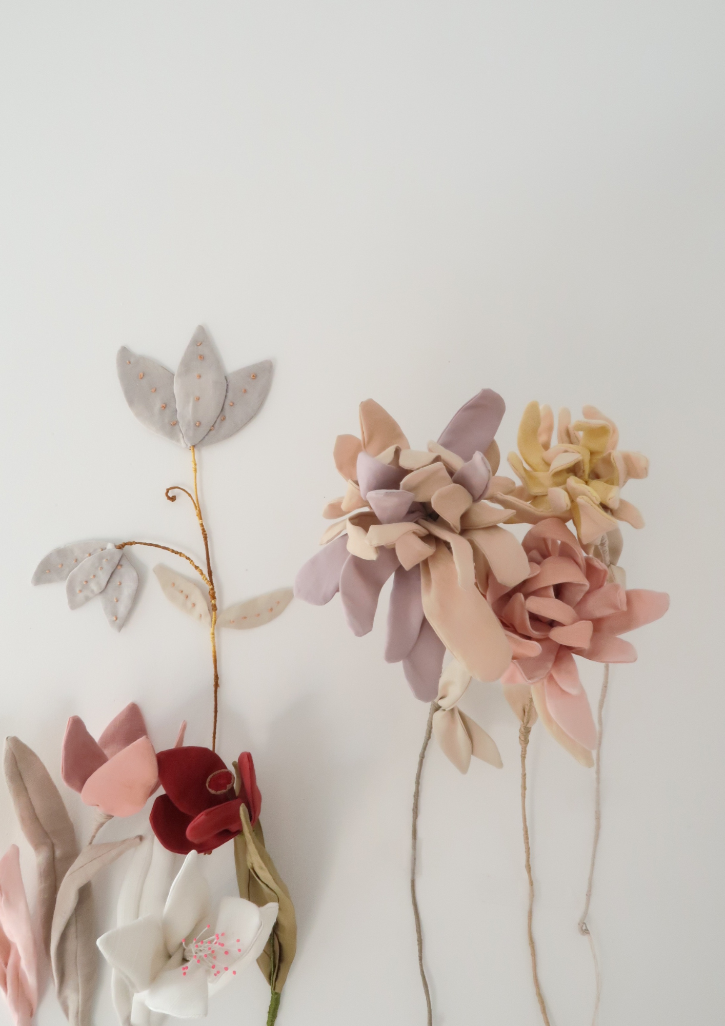 La fleur Chrysanthème