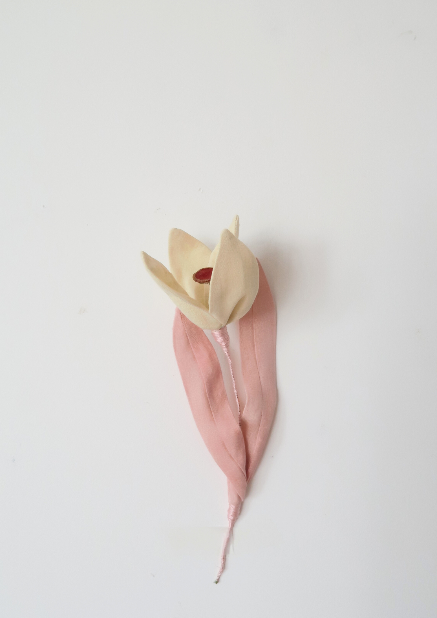 Tulipe à quatre pétales jaune beurre