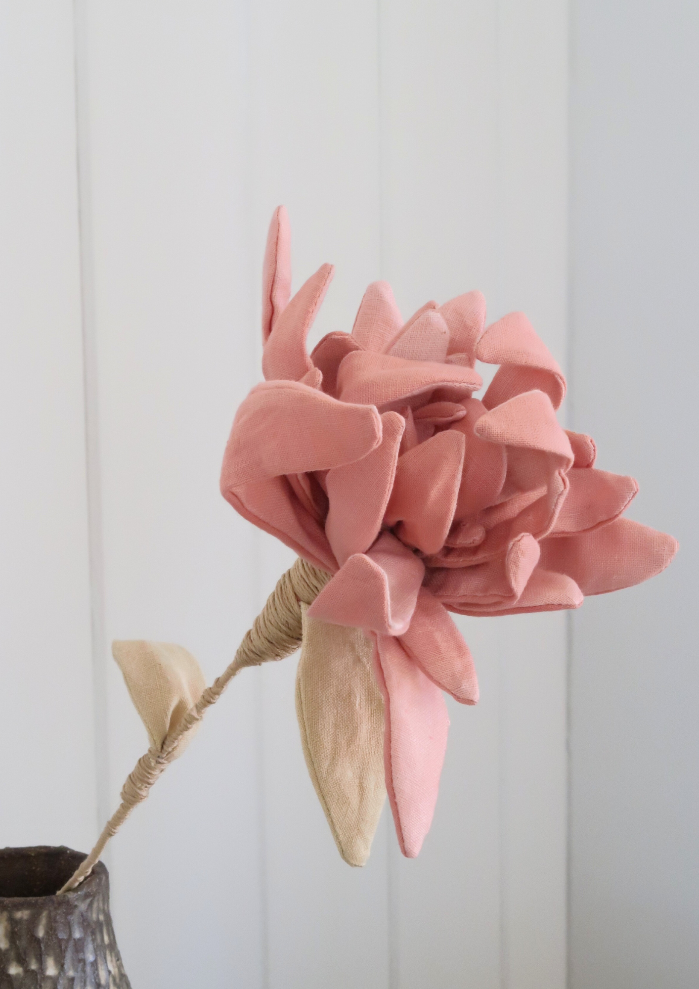 La fleur chrysanthème à la garance