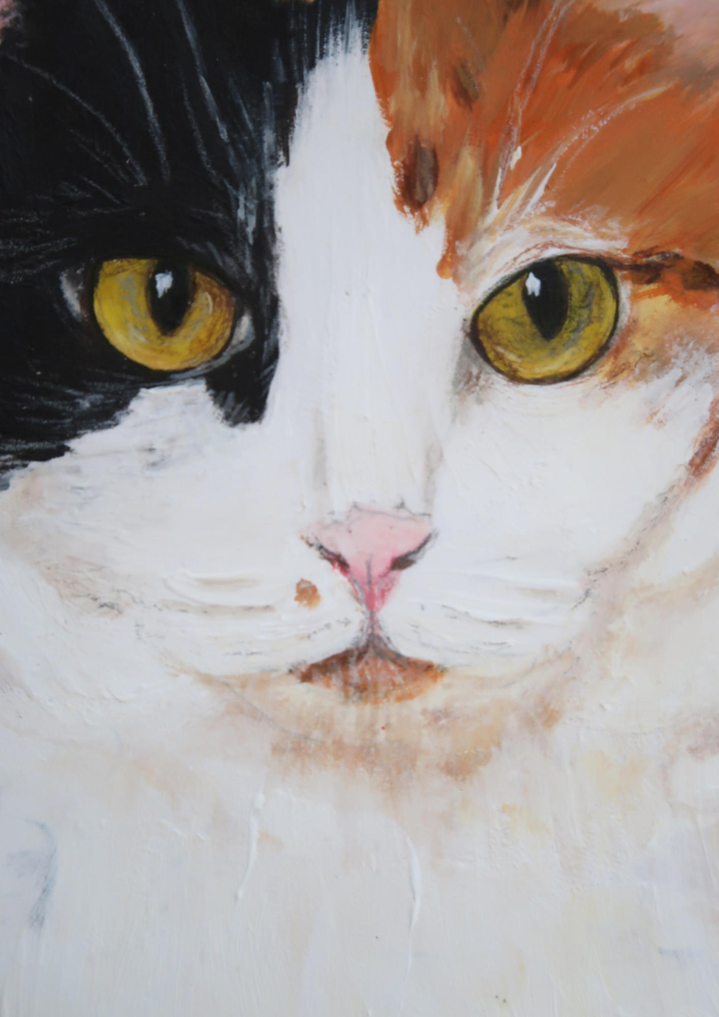 Portraits de vos animaux préférés