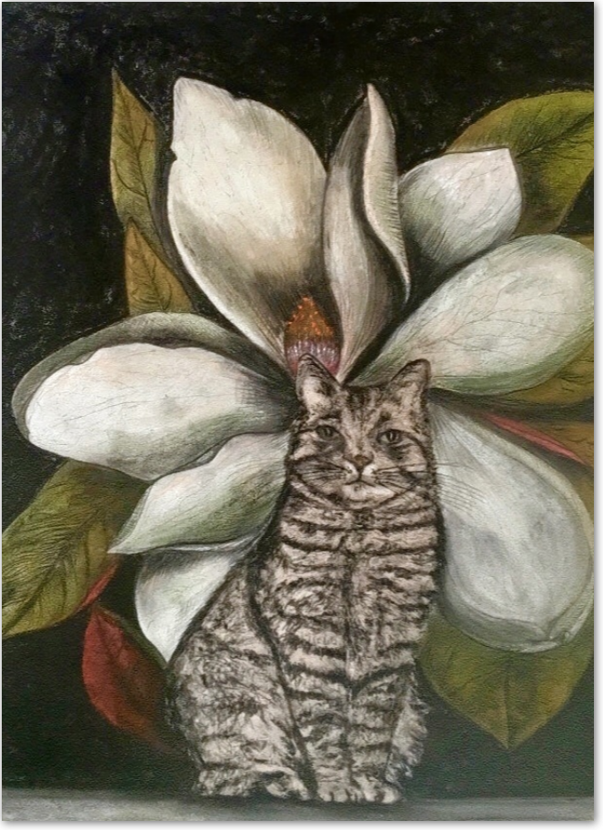 Les animaux et insectes