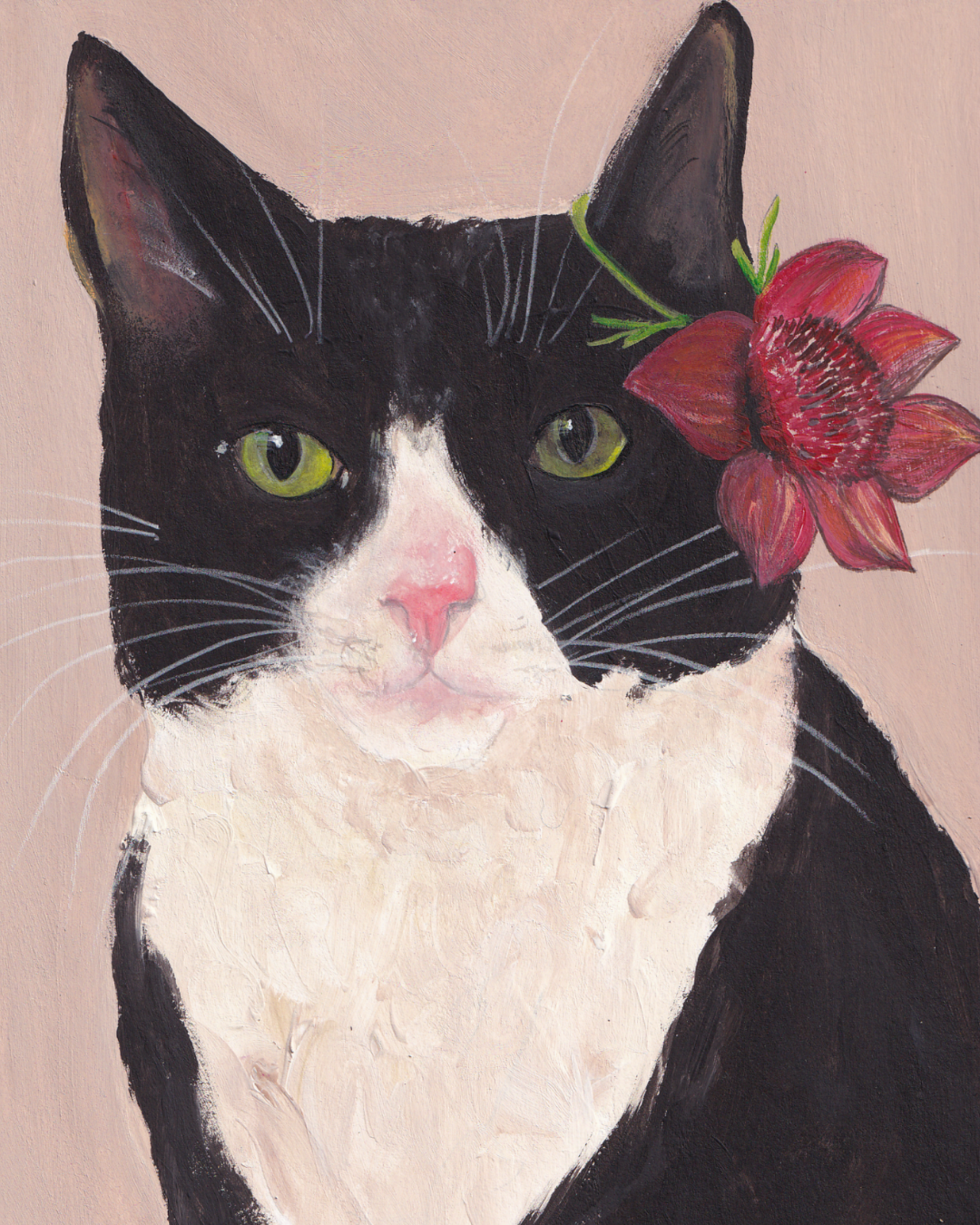 Chat bicolore et sa fleur des îles