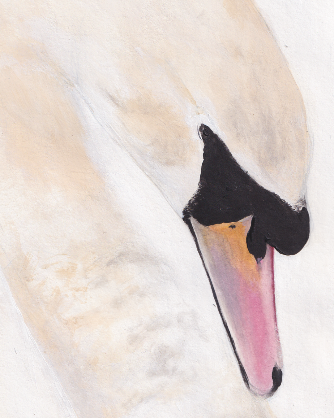 Le Cygne