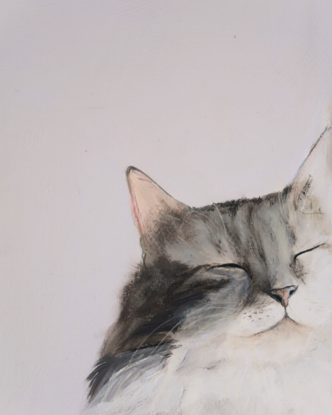 Chat Ragdoll
